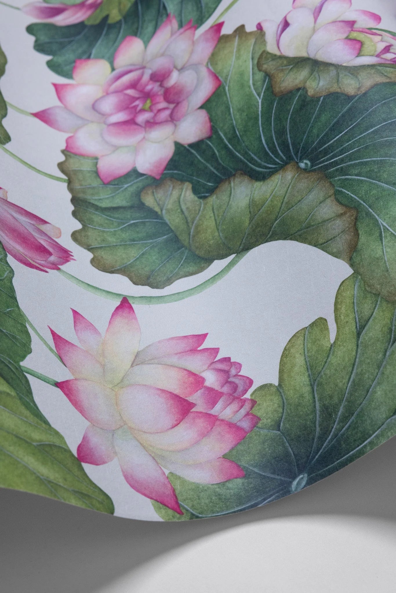 Cole & Son Shinrin Yoku , Lily Lotus, Pink & White