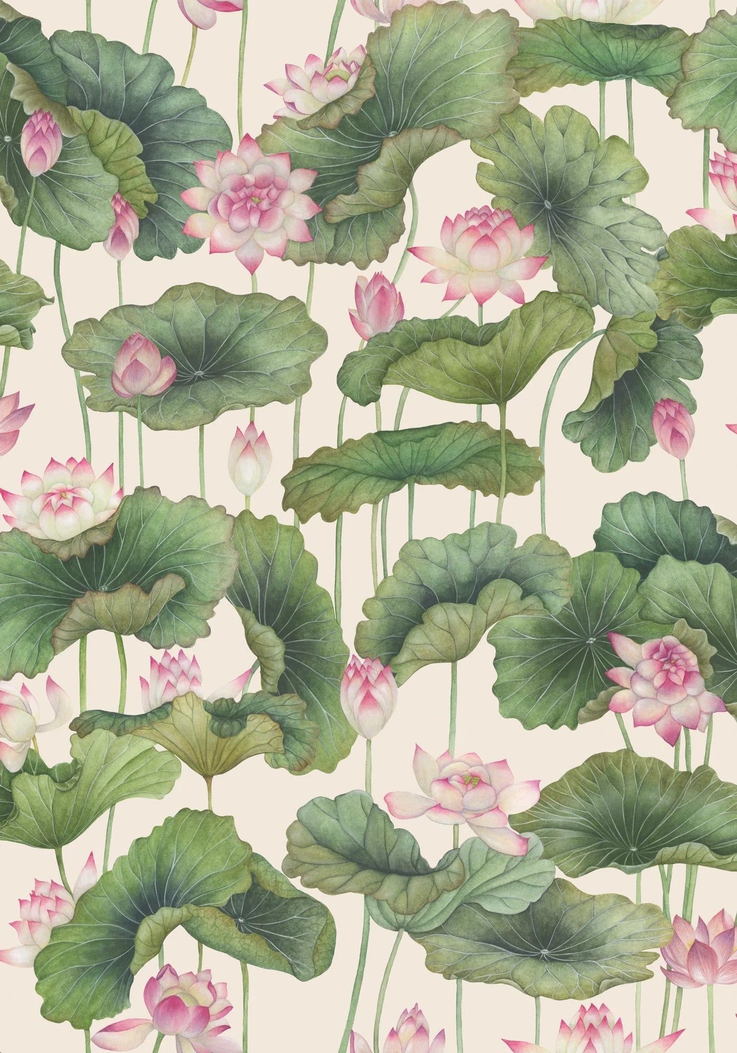 Cole & Son Shinrin Yoku , Lily Lotus, Pink & White