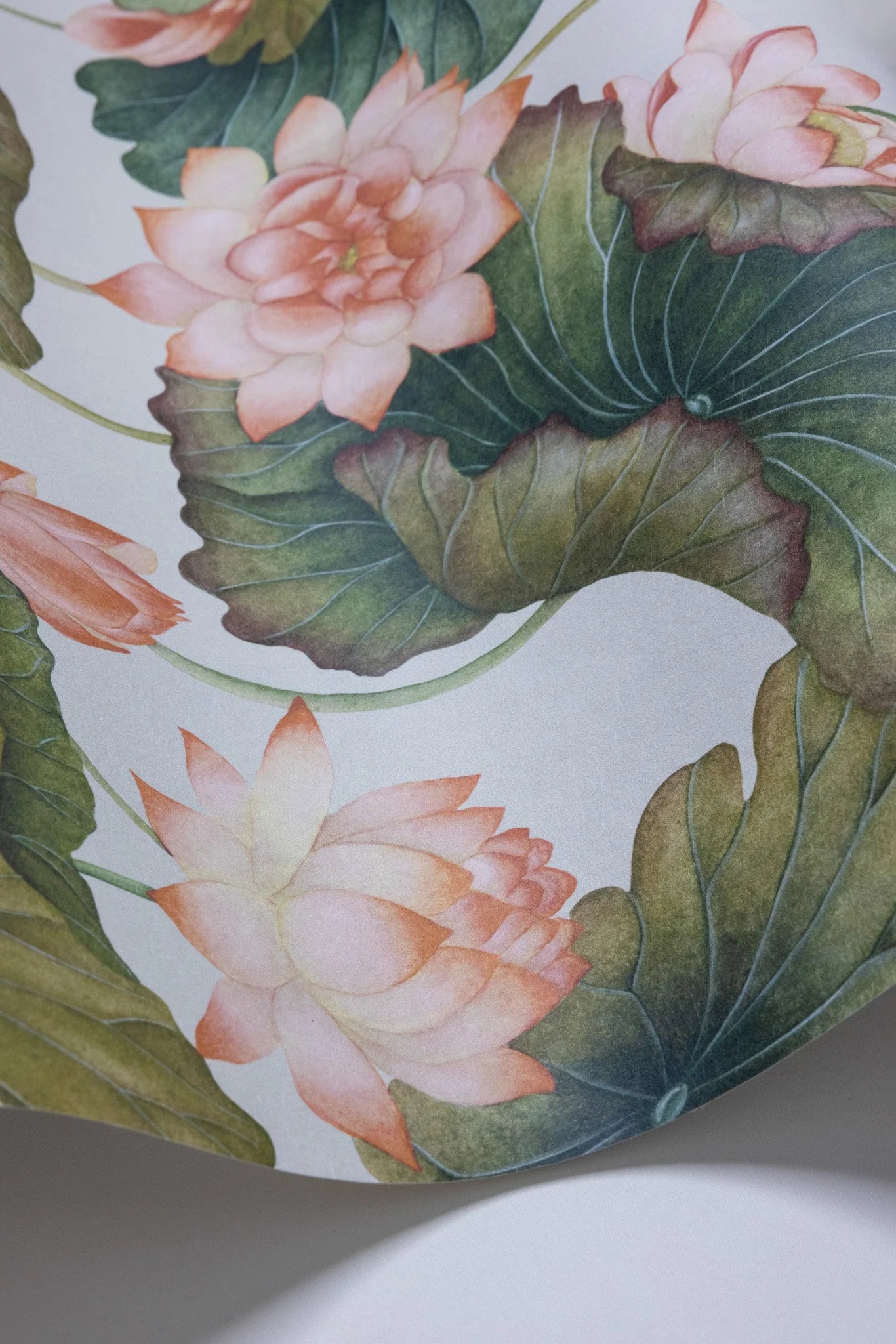 Cole & Son Shinrin Yoku , Lily Lotus, Orange & Olive