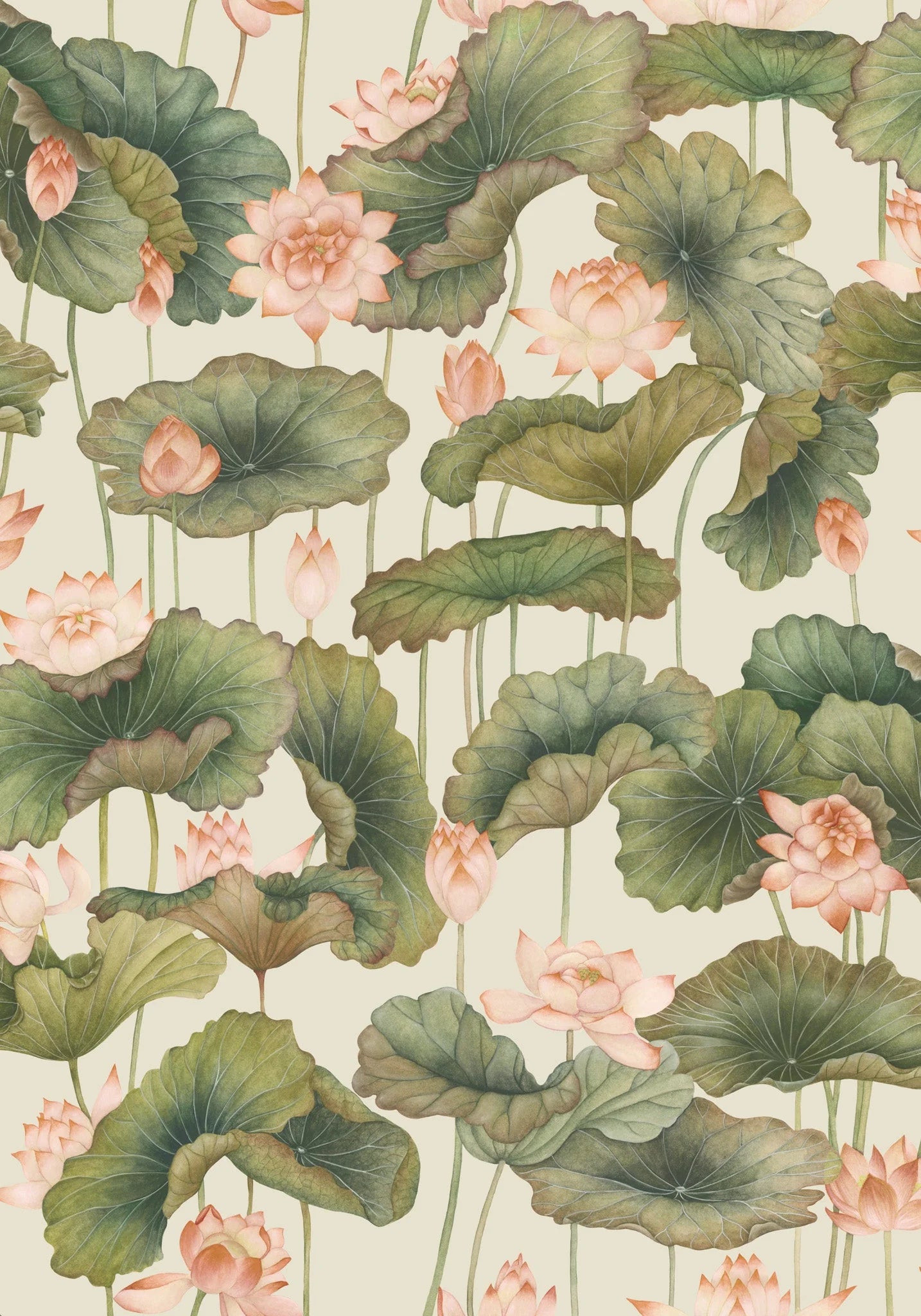 Cole & Son Shinrin Yoku , Lily Lotus, Orange & Olive
