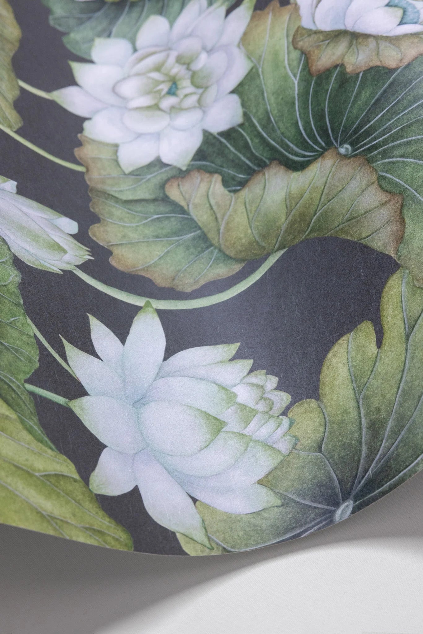Cole & Son Shinrin Yoku , Lily Lotus, White on Charcoal