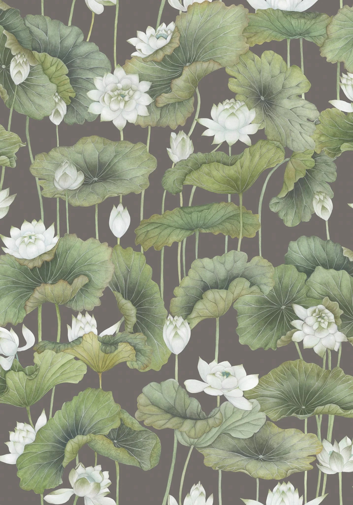 Cole & Son Shinrin Yoku , Lily Lotus, White on Charcoal
