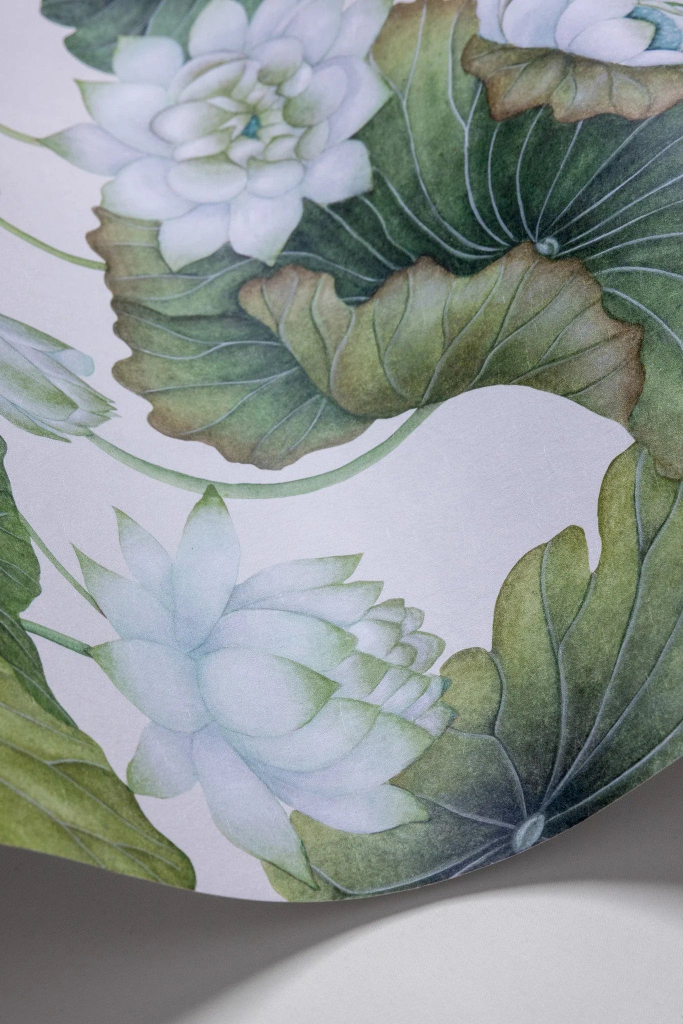 Cole & Son Shinrin Yoku , Lily Lotus,  White on Cream