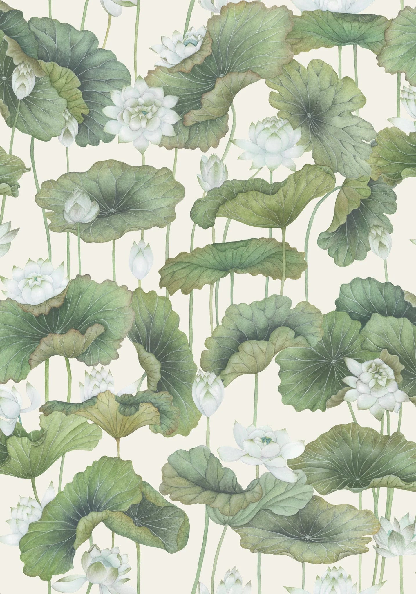 Cole & Son Shinrin Yoku , Lily Lotus,  White on Cream