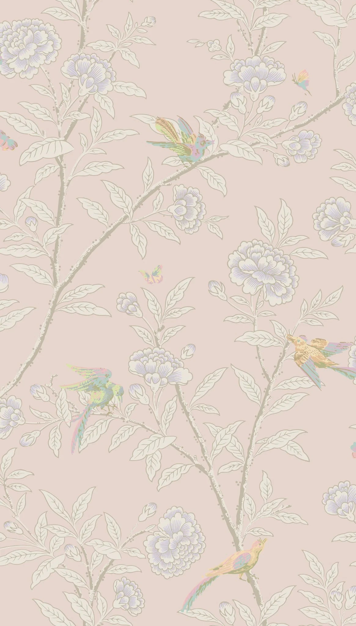Cole & Son, Classics Vol I,Roseberry with Birds, Shell Pink