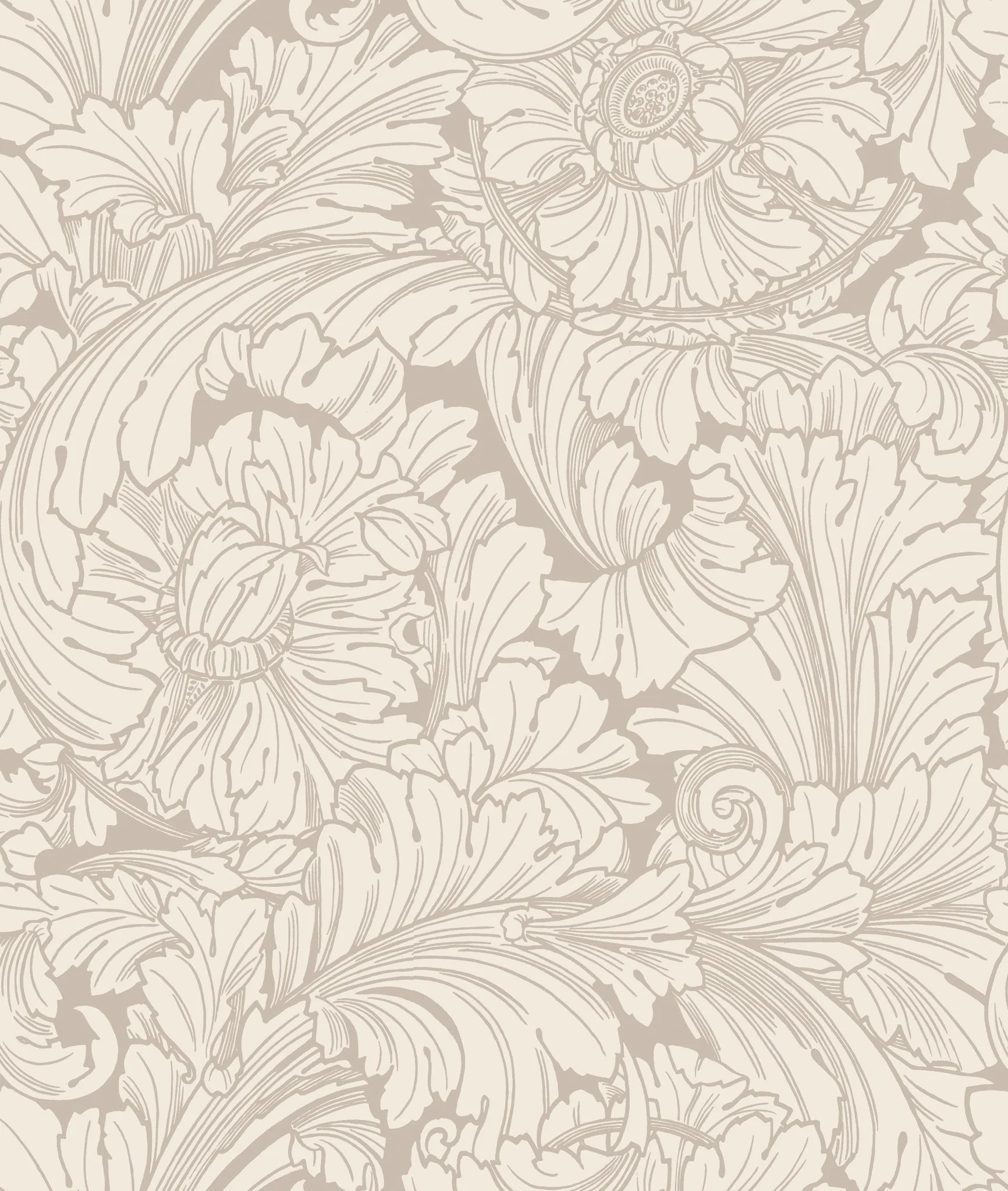 Cole & Son, Classics Vol I, Acanthus Cream & Pebble