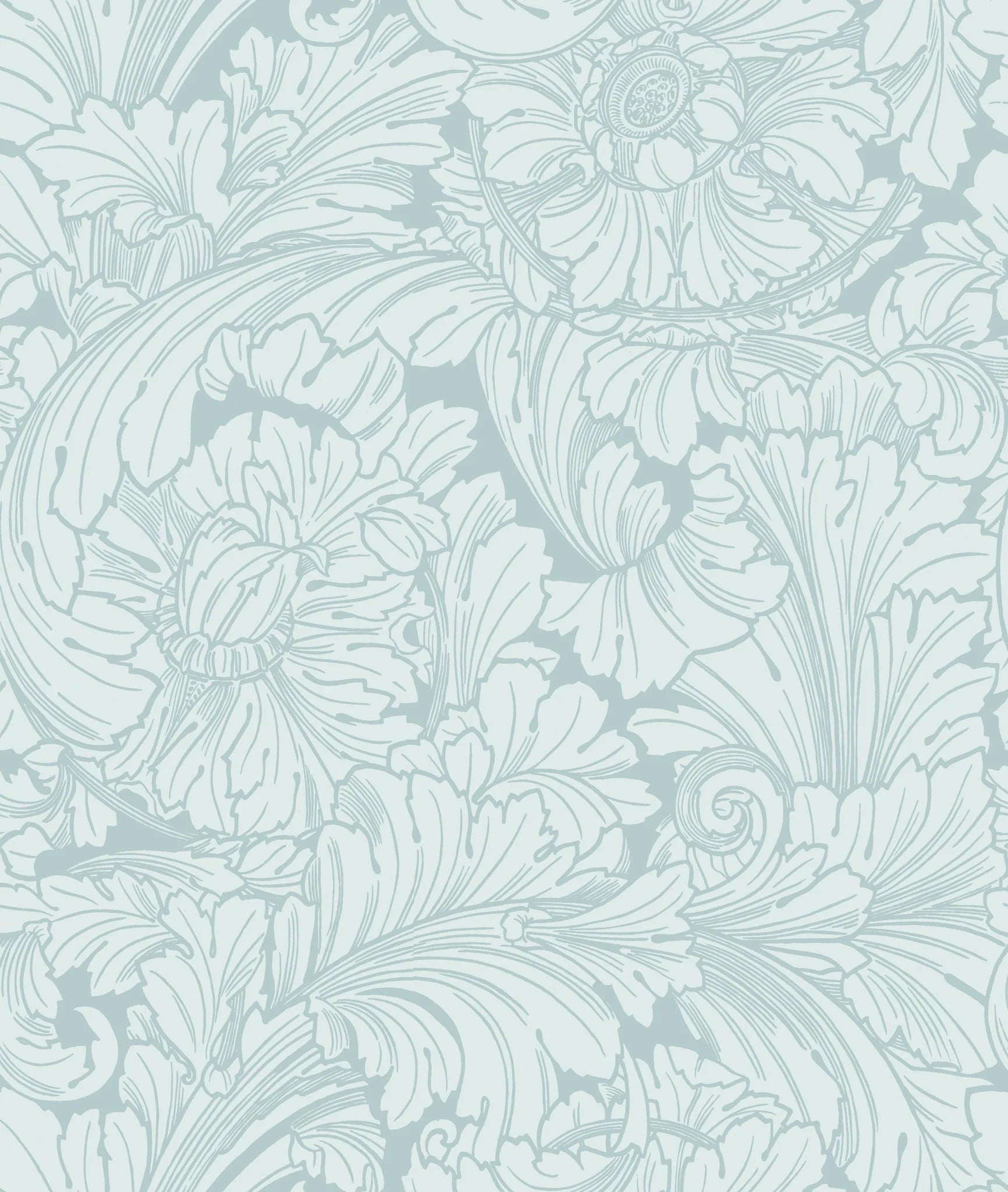 Cole & Son, Classics Vol I, Acanthus, Print Room Blue