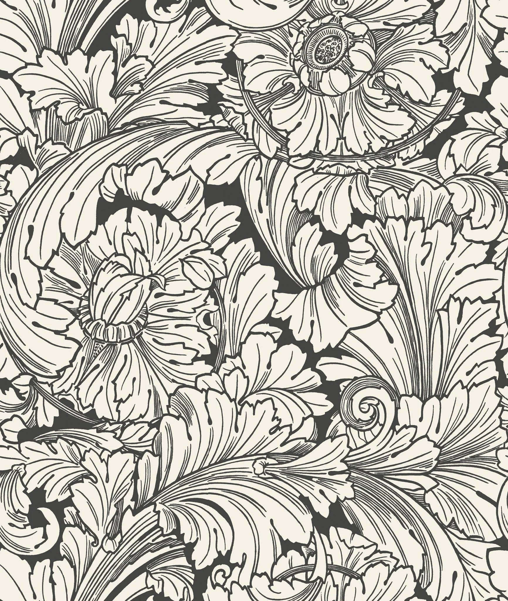 Cole & Son, Classics Vol I, Acanthus, Soot & Snow