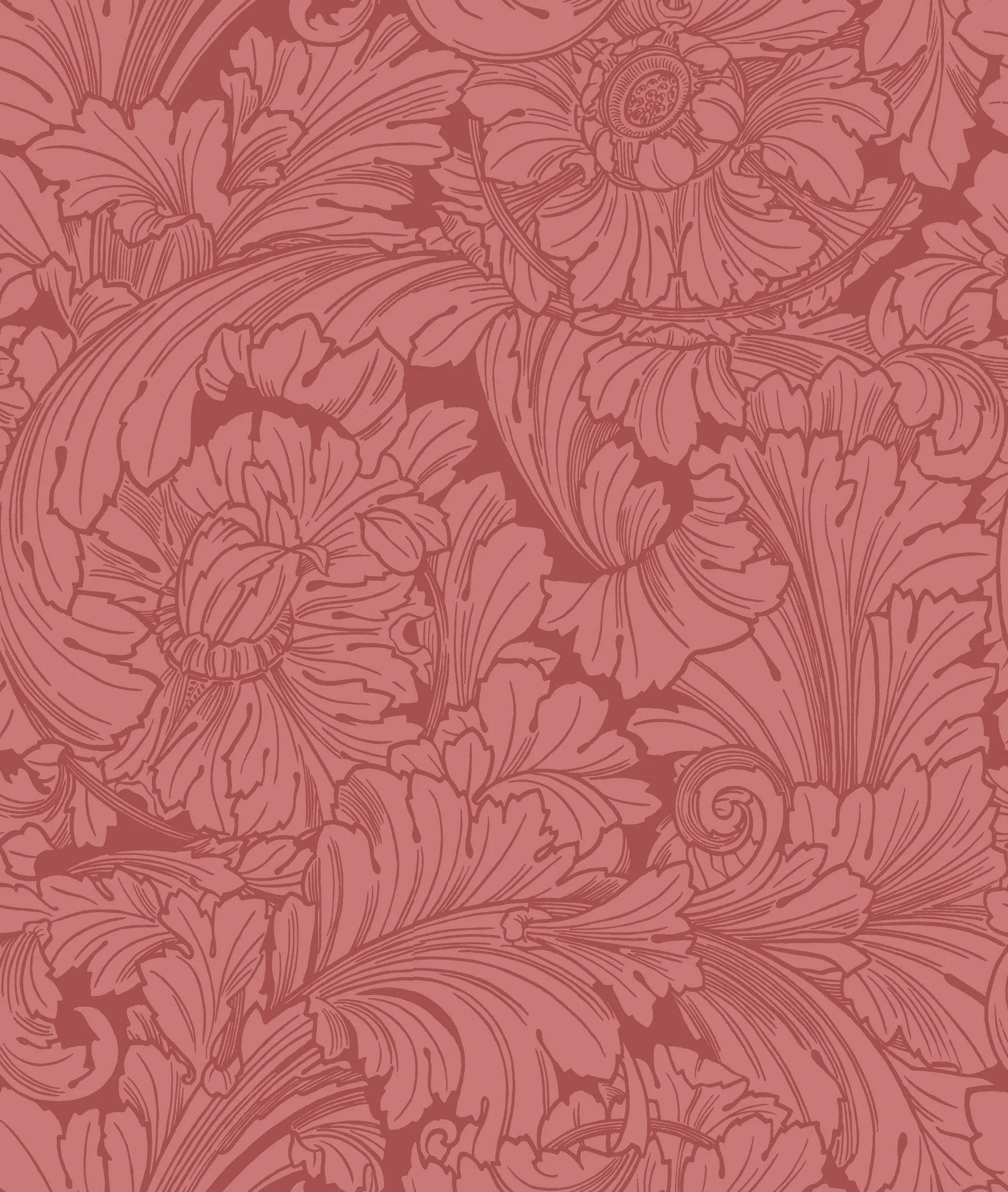 Cole & Son, Classics Vol I, Acanthus, Stately Home Red