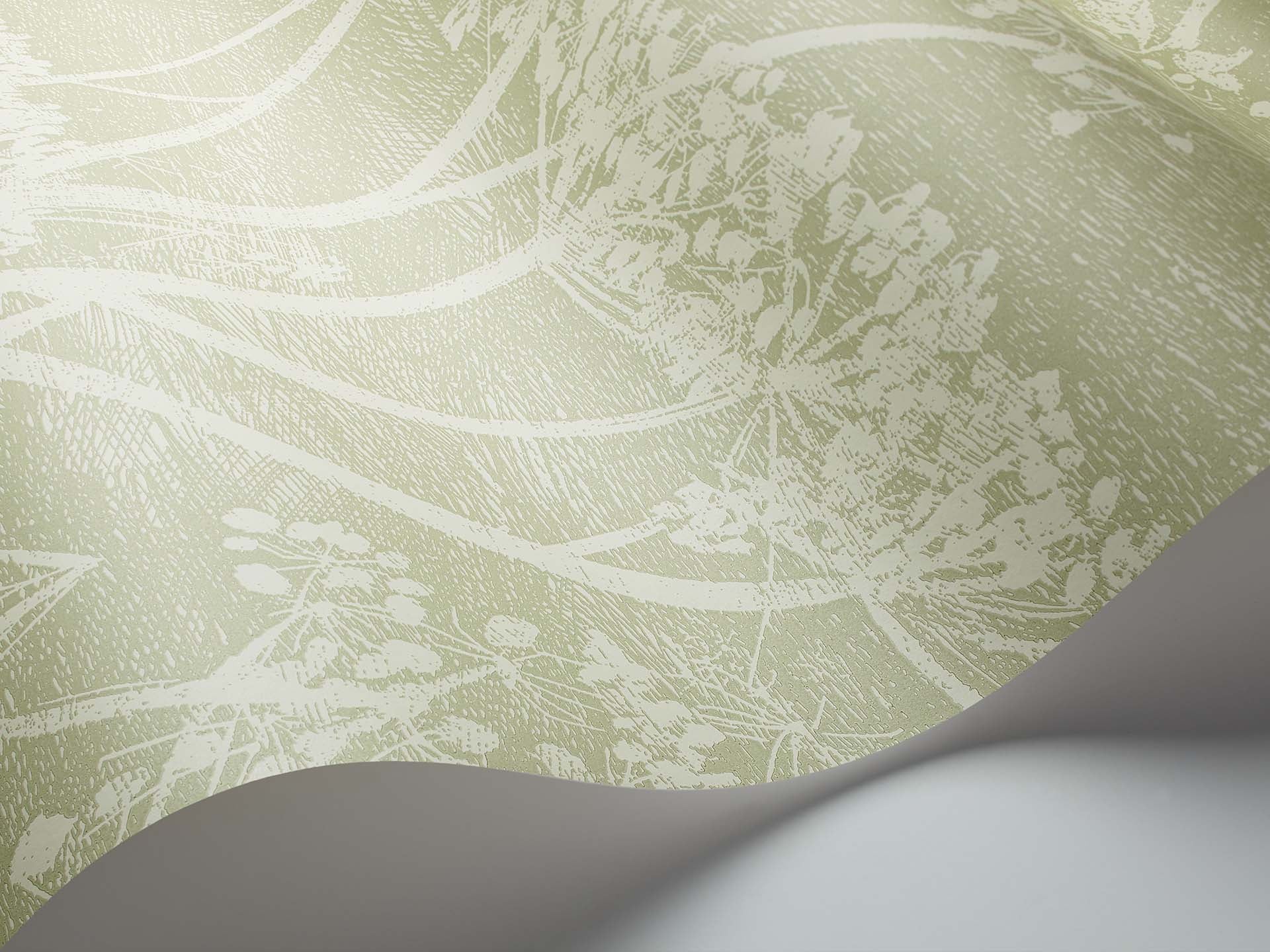 Cole & Son Icons Cow Parsley, Olive