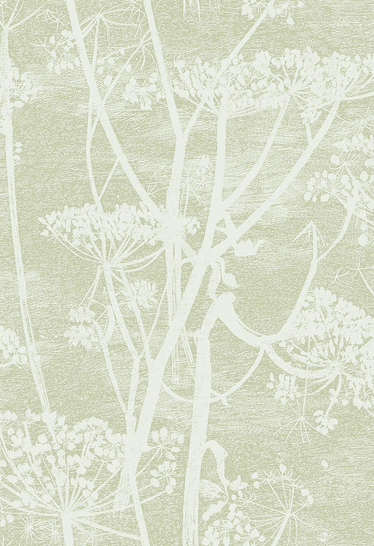 Cole & Son Icons Cow Parsley, Olive