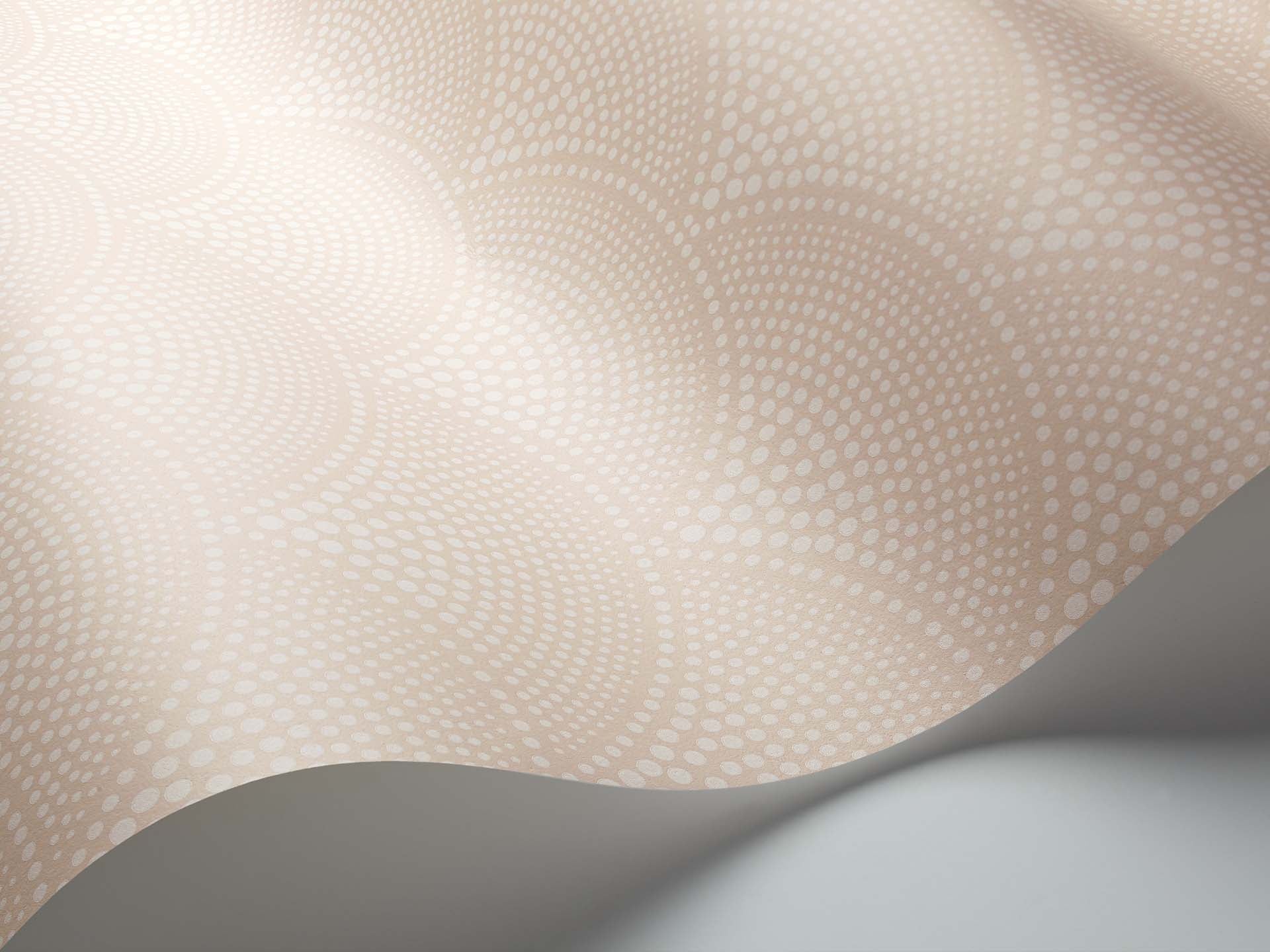 Cole & Son Icons Feather Fan, Ballet Slipper