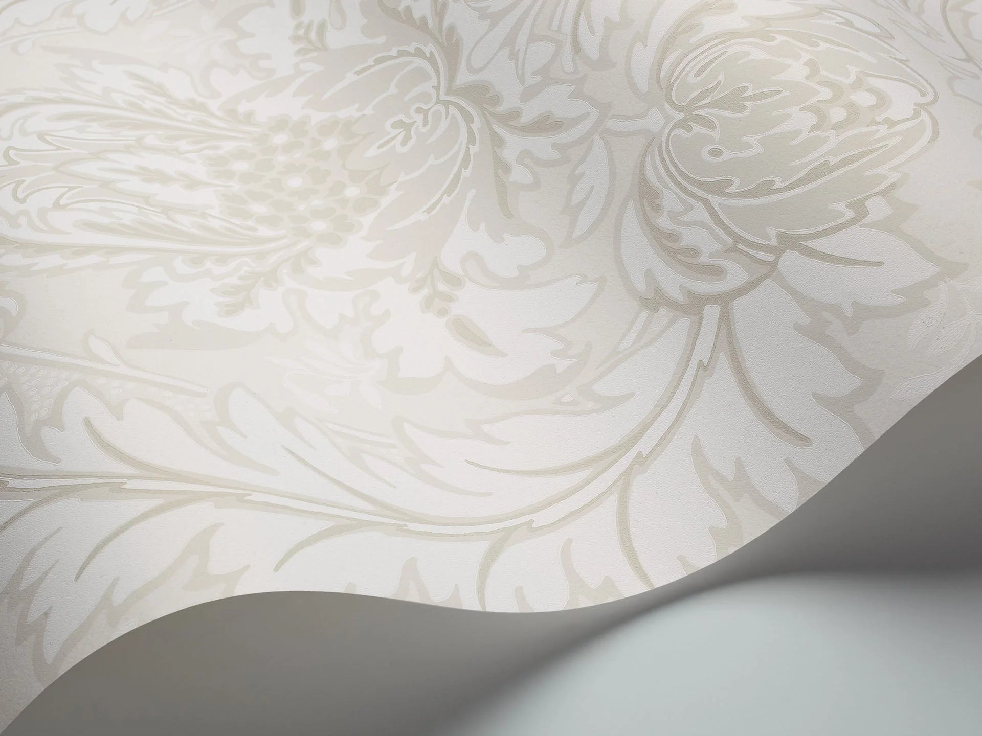 Cole & Son, Albemarie, Coleridge, Chalk