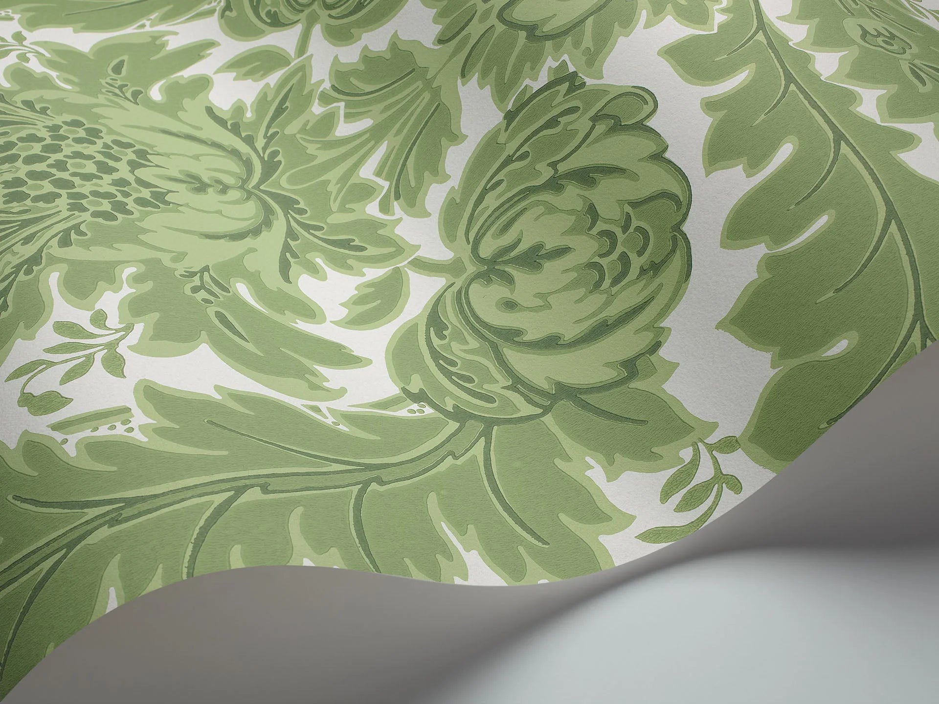 Cole & Son, Albemarie, Coleridge, Leaf Green on White