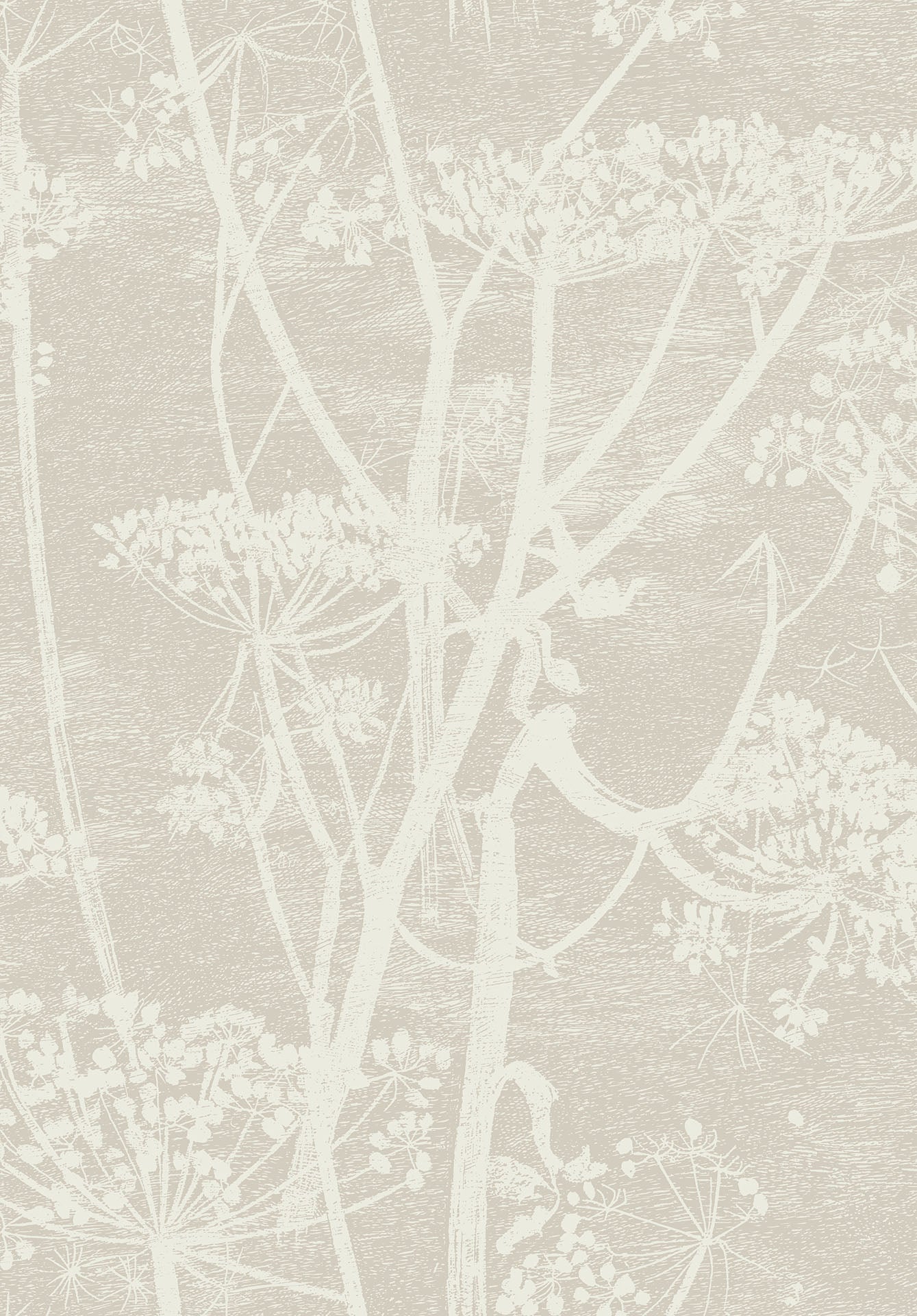 Cole & Son Contemporary Collection, Cow Parsley,  White & Chaurtreuse (kopie)