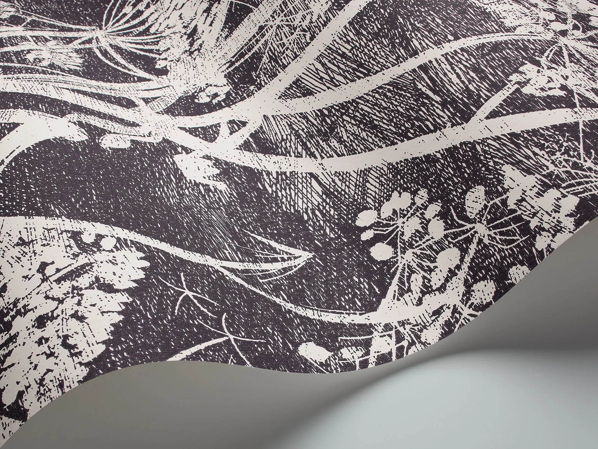 Cole & Son Contemporary Collection Cow Parsley,  Soot & Snow