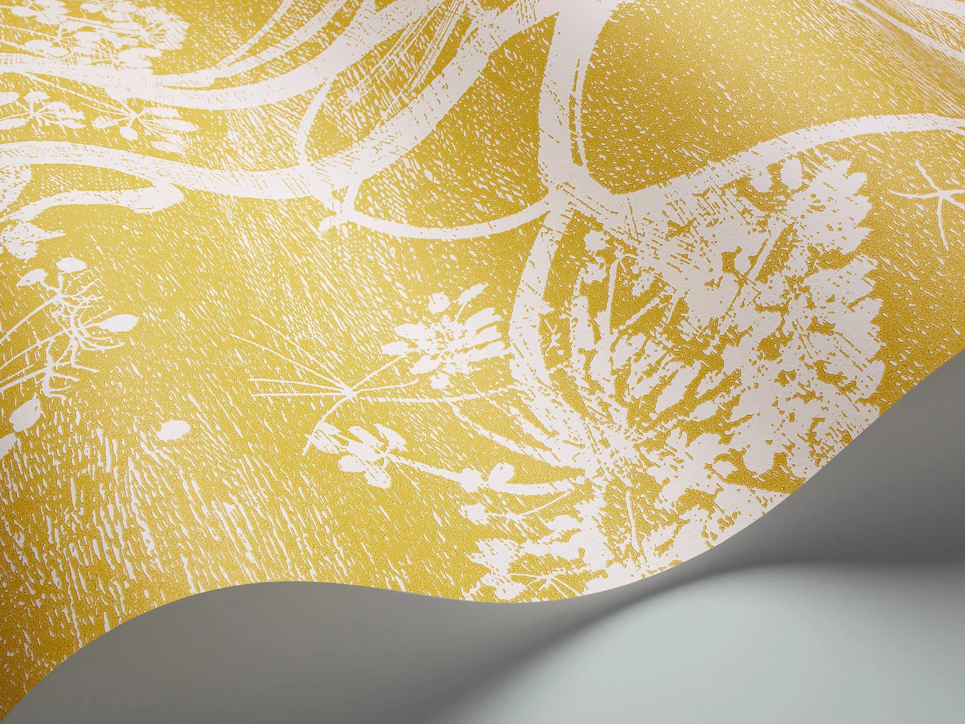 Cole & Son Contemporary Collection, Cow Parsley,  White & Chaurtreuse