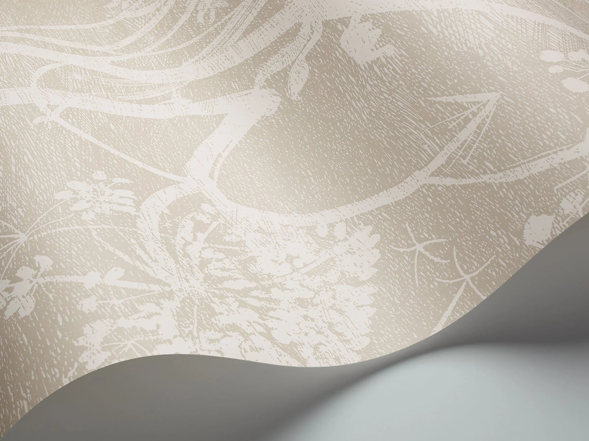 Cole & Son Contemporary Collection, Cow Parsley,  White & Chaurtreuse (kopie)