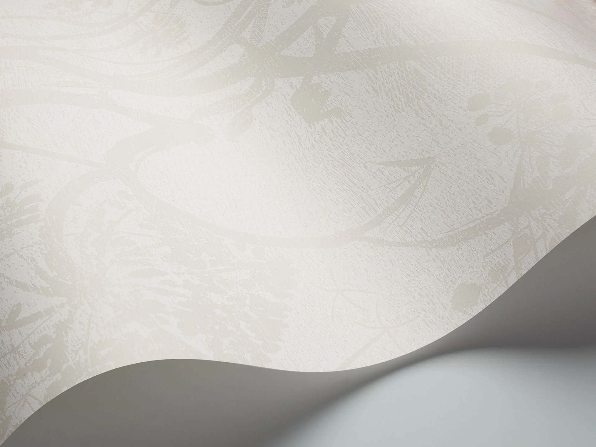 Cole & Son Contemporary Collection, Cow Parsley,  Chalk and Parchment