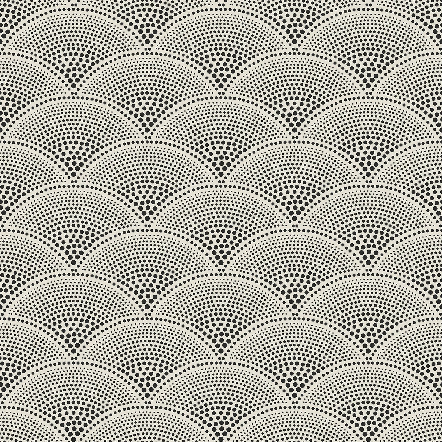 Cole & Son Contemporary Collection, Feather Fan, Black on White