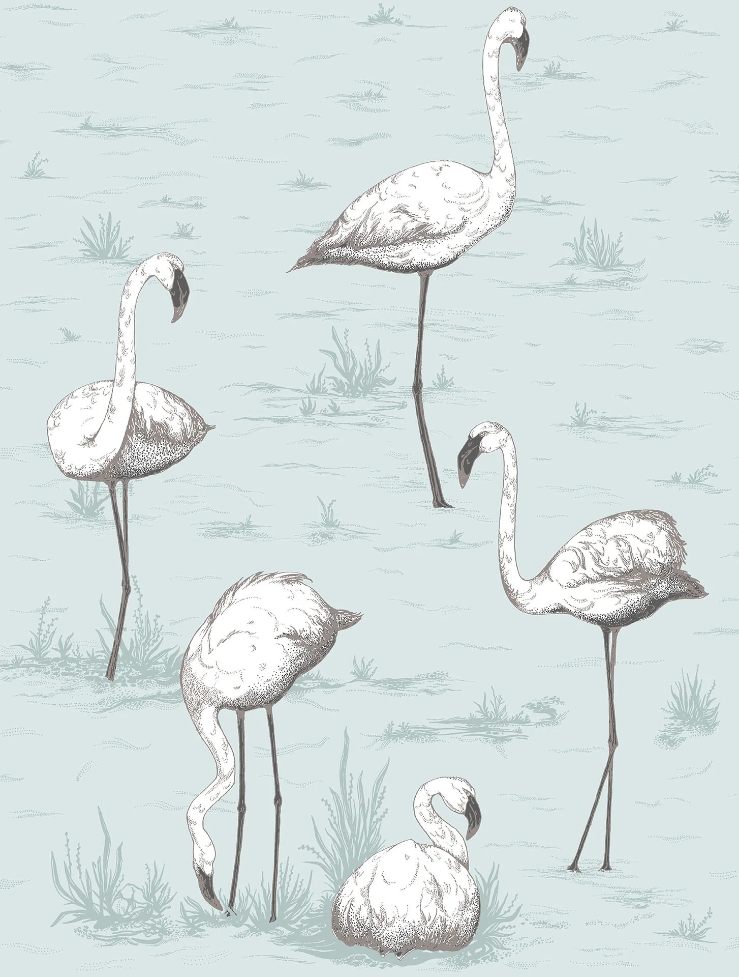 Cole & Son Contemporary Collection, Flamingos, White & Charcoal on Powder Blue