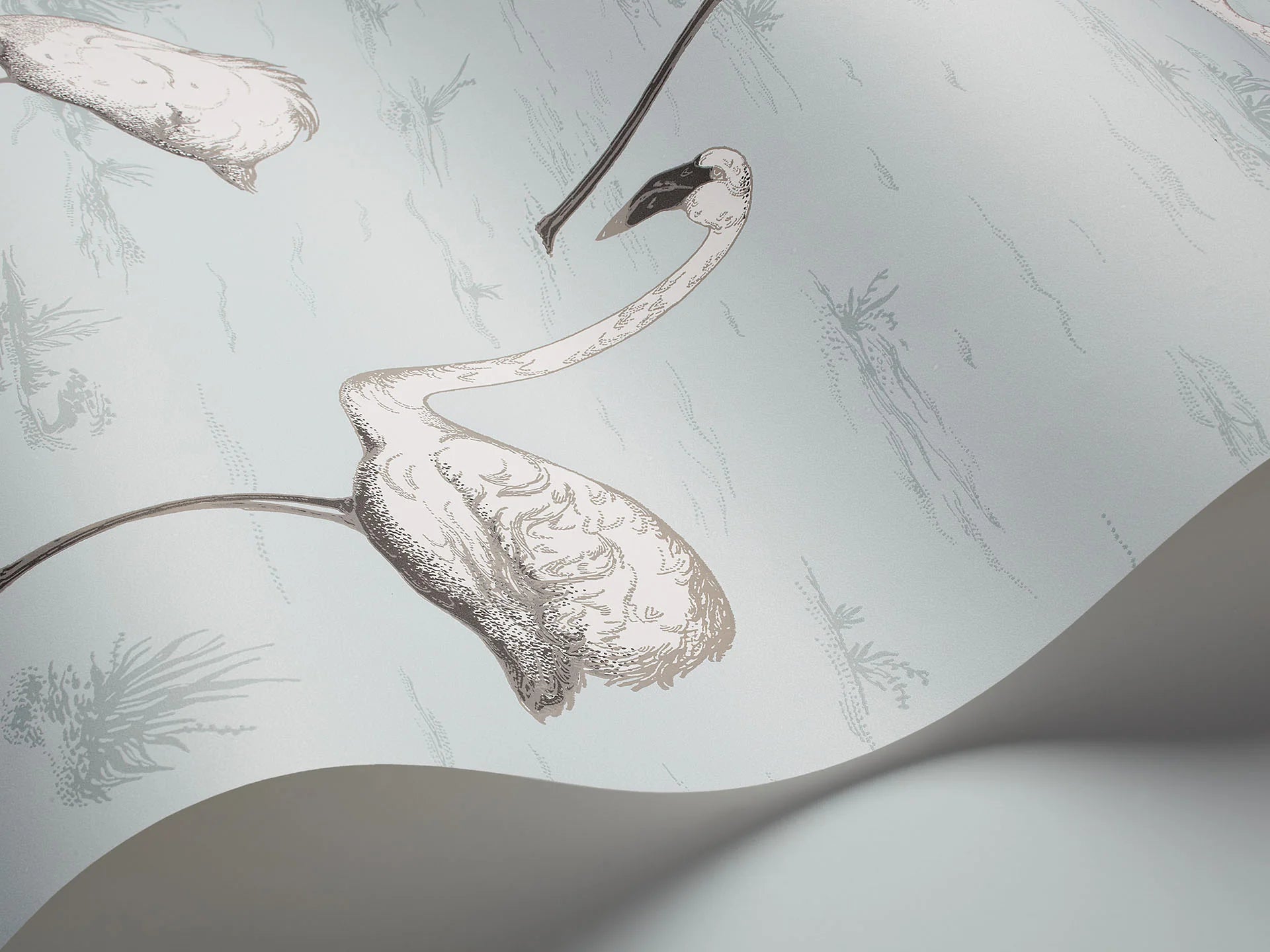 Cole & Son Contemporary Collection, Flamingos, White & Charcoal on Powder Blue