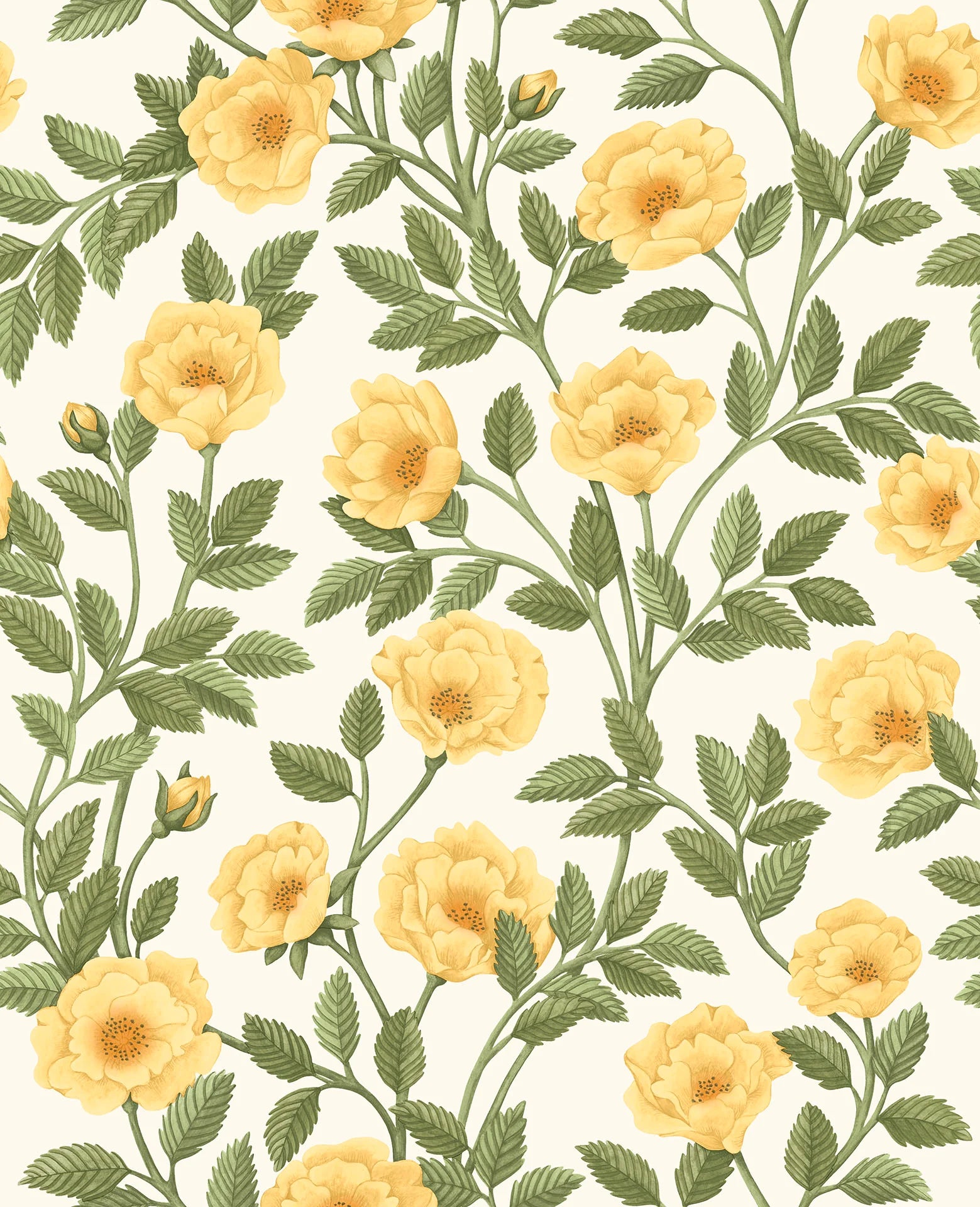 Cole & Son Historic Royal Palaces Hampton Roses, Marigold & Olive Green on White