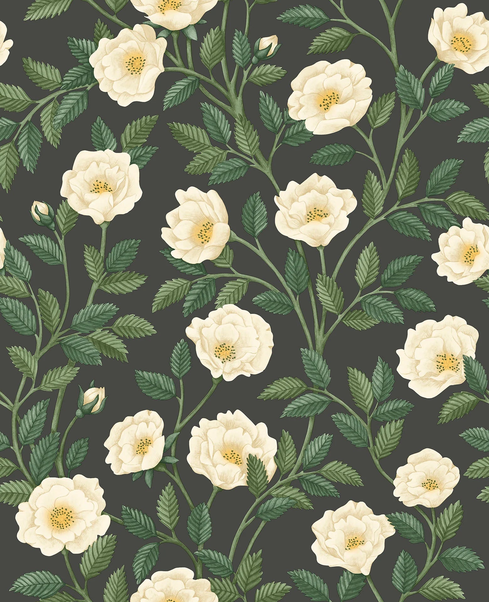 Cole & Son Historic Royal Palaces Hampton Roses, Cream & Forest Green on Charcoal