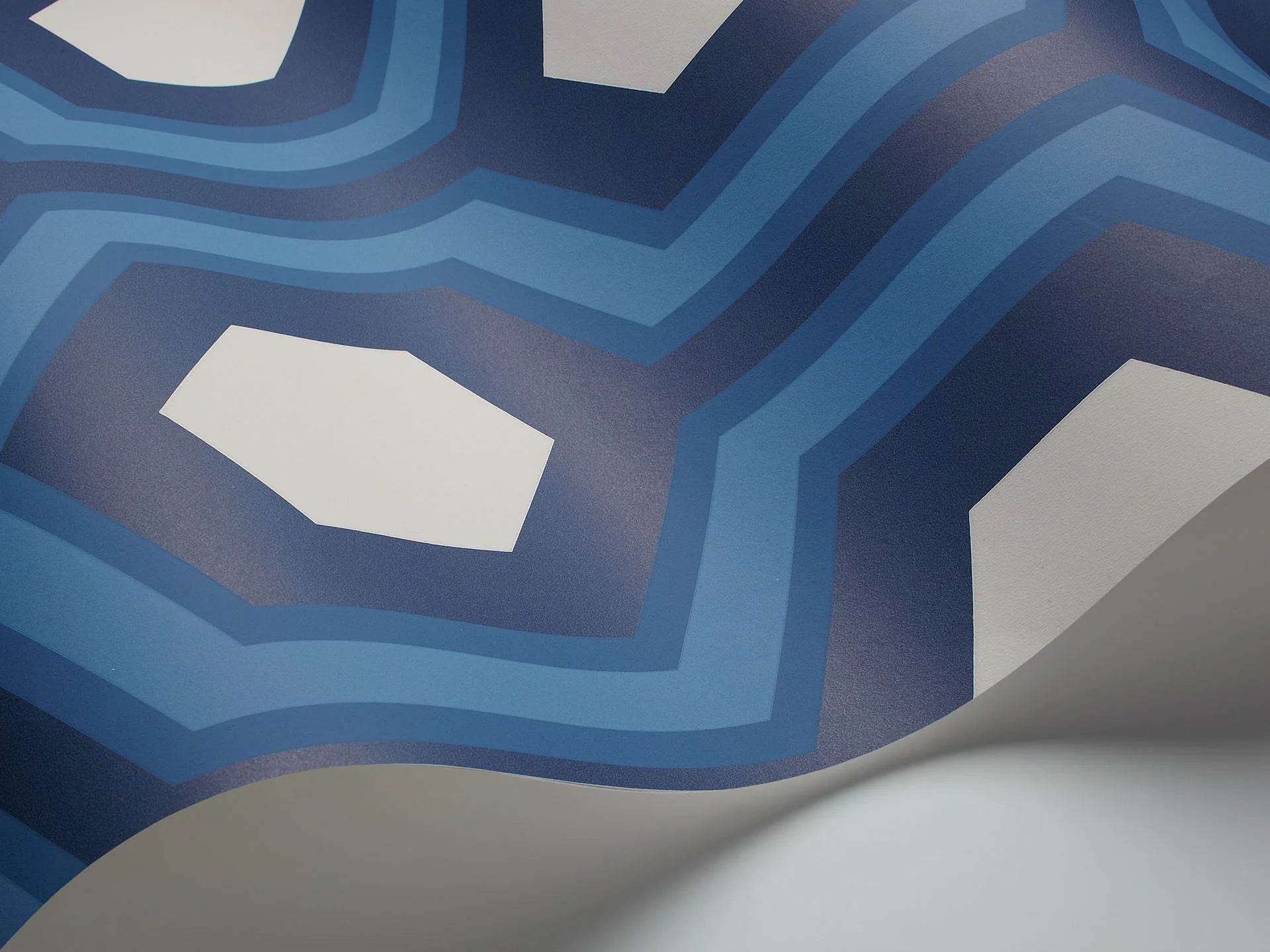 Cole & Son Contemporary Collection Hicks' Grand, Blue & White on Navy
