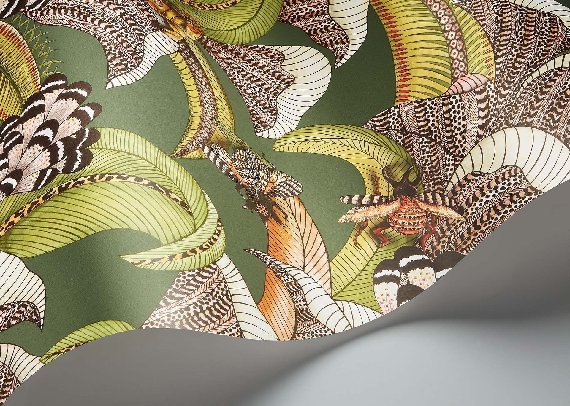 Cole & Son Ardmore Jabula .Hoopoe Leaves     Spring Green, Chartreuse & Coral on Forest