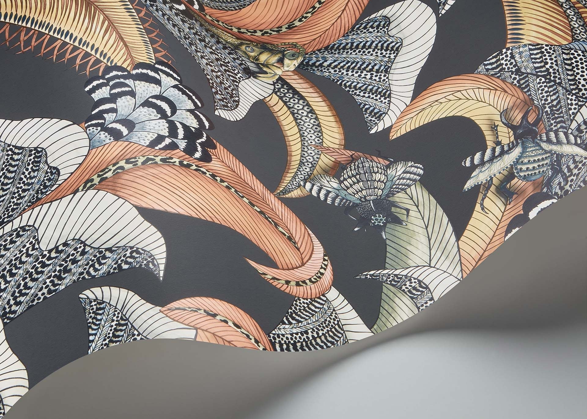 Cole & Son Ardmore Jabula .Hoopoe Leaves ,  Terracotta, Ochre & Ice Blue on Charcoal