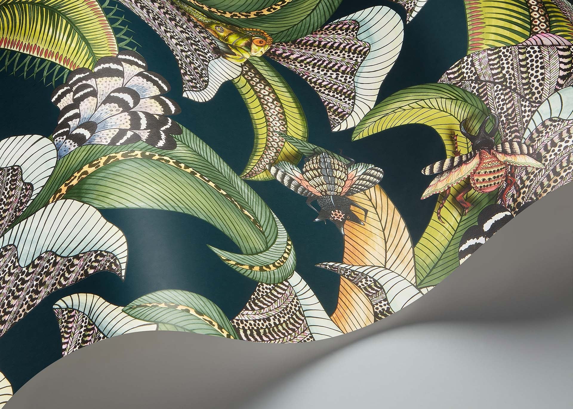 Cole & Son Ardmore Jabula .Hoopoe Leaves ,  Forest Green, Lime & Fuchsia on Dark Viridian