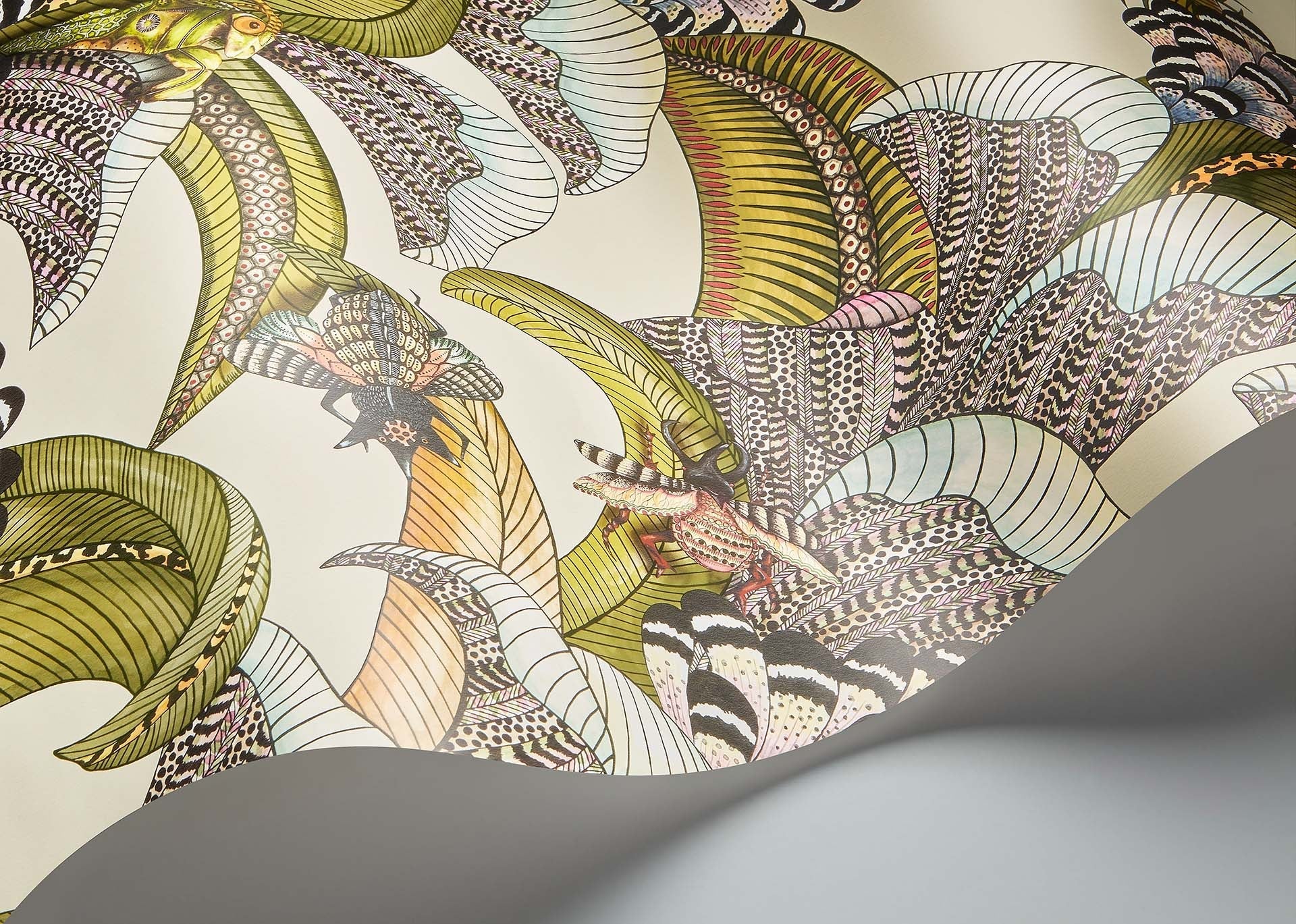 Cole & Son Ardmore Jabula.   Hoopoe Leaves, Olive, Chartreuse & Fuchsia on Cream