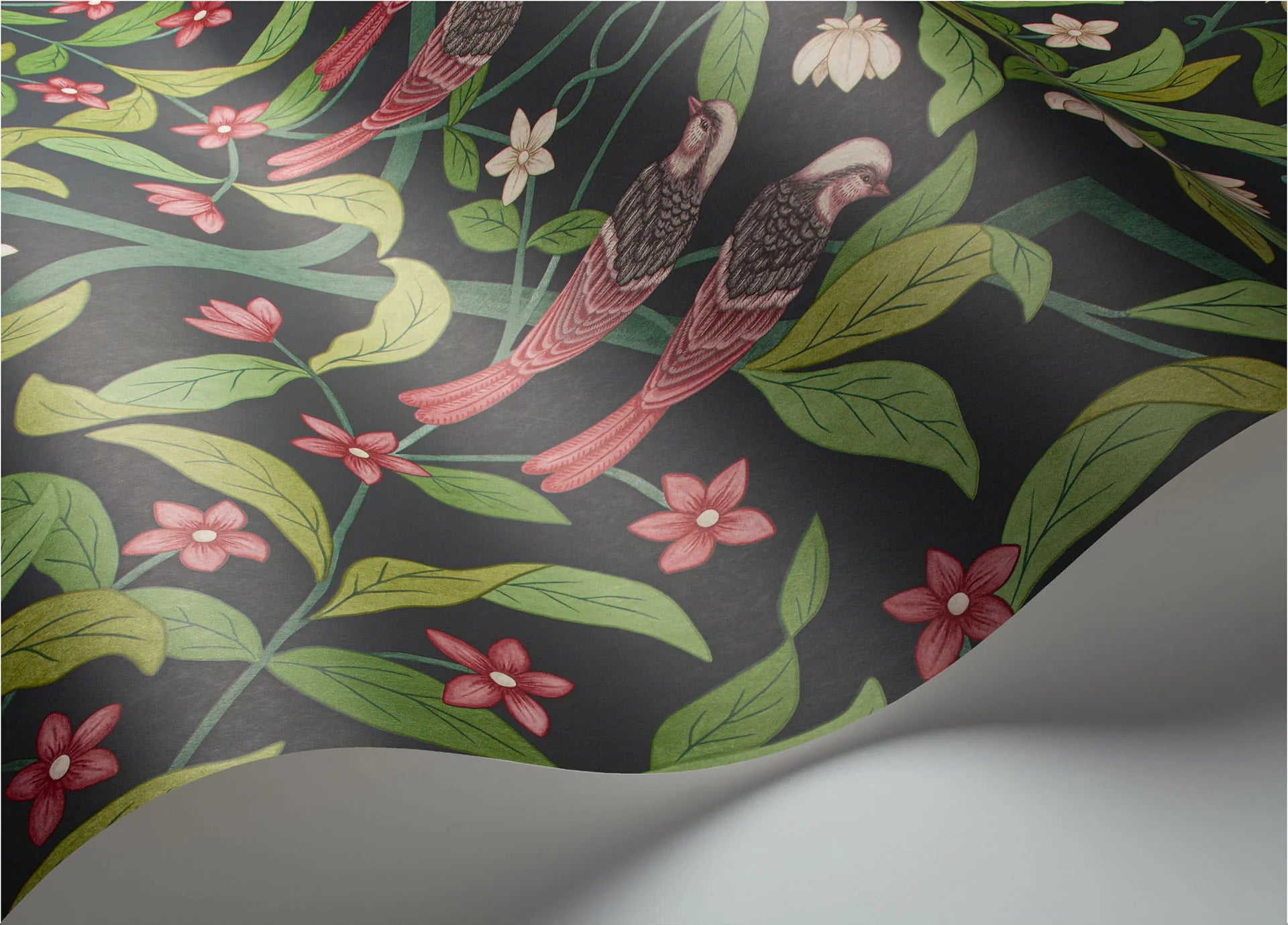 Cole & Son Seville Jasmine & Serin Symphony, Rose & Racing Car Green on Dark Viridian