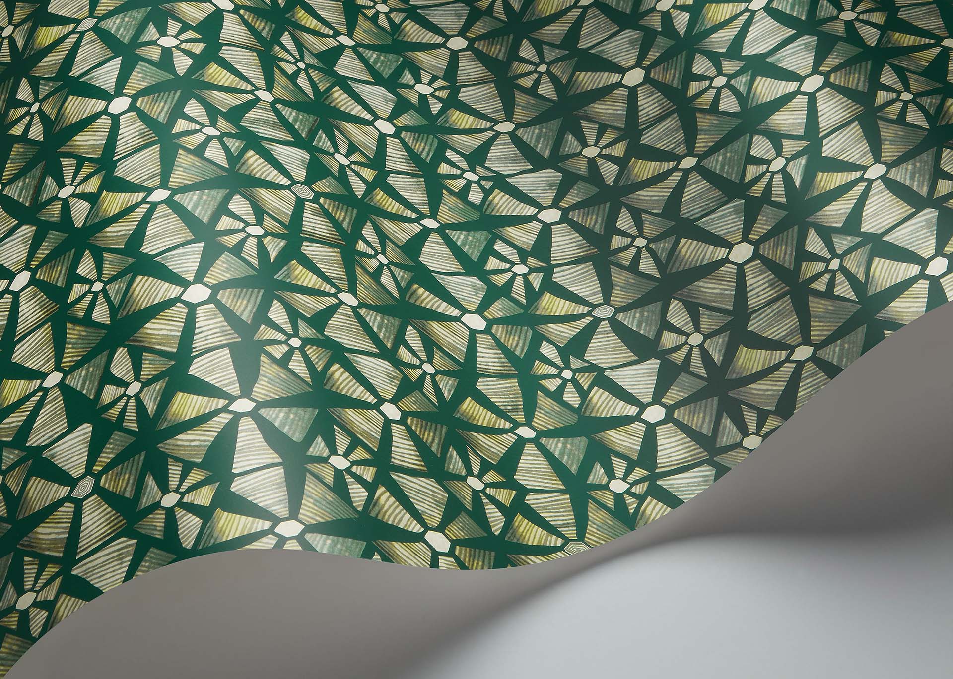 Cole & Son Ardmore Jabula  .Kalahari , Forest Green & Racing Green