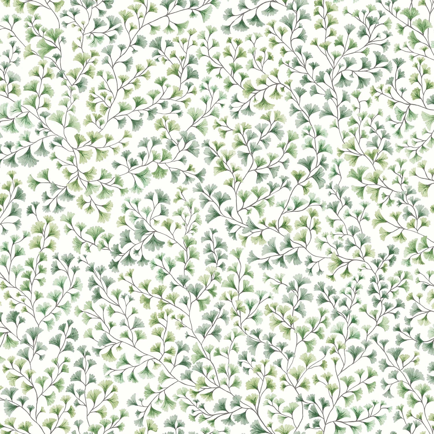 Cole & Son Botanical - Botanica, Maidenhair, Olive Green