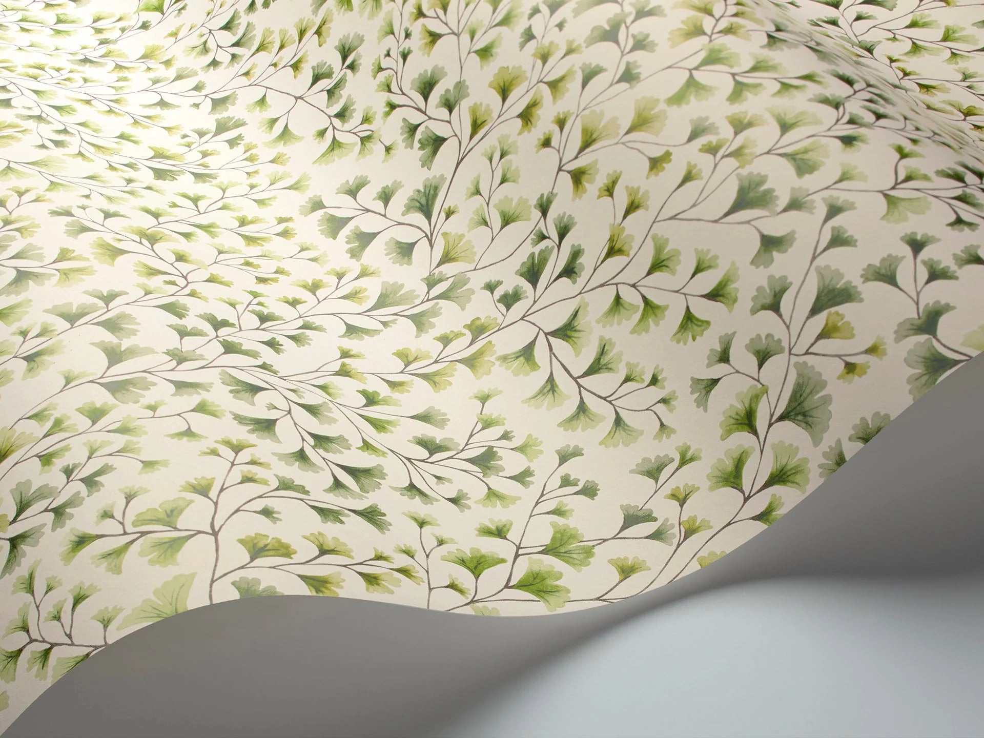 Cole & Son Botanical - Botanica, Maidenhair, Olive Green