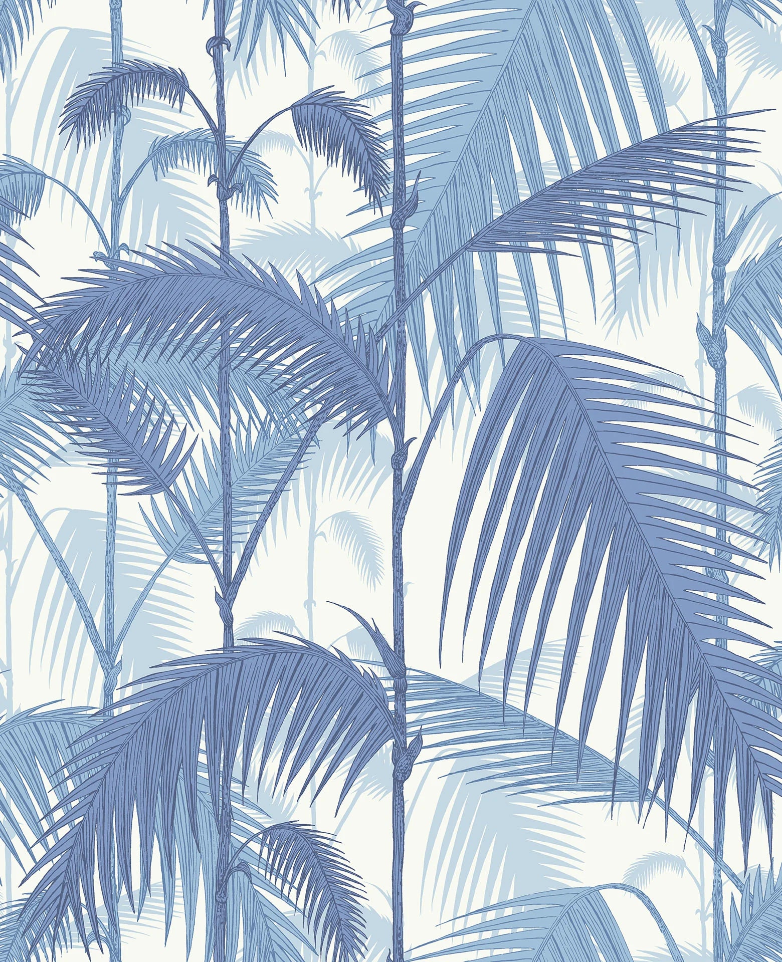 Cole & Son Contemporary Collection, Palm Jungle, Hyacinth on White