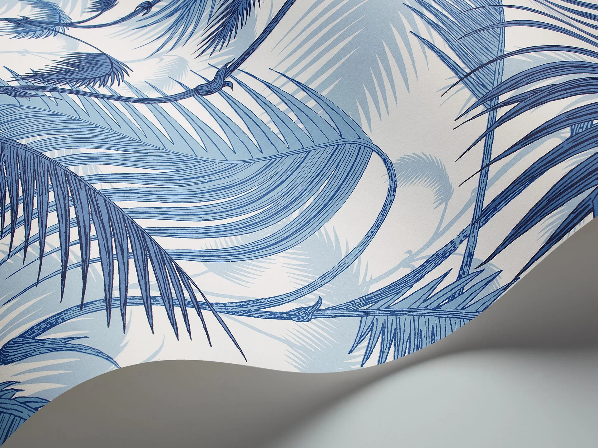 Cole & Son Contemporary Collection, Palm Jungle, Hyacinth on White