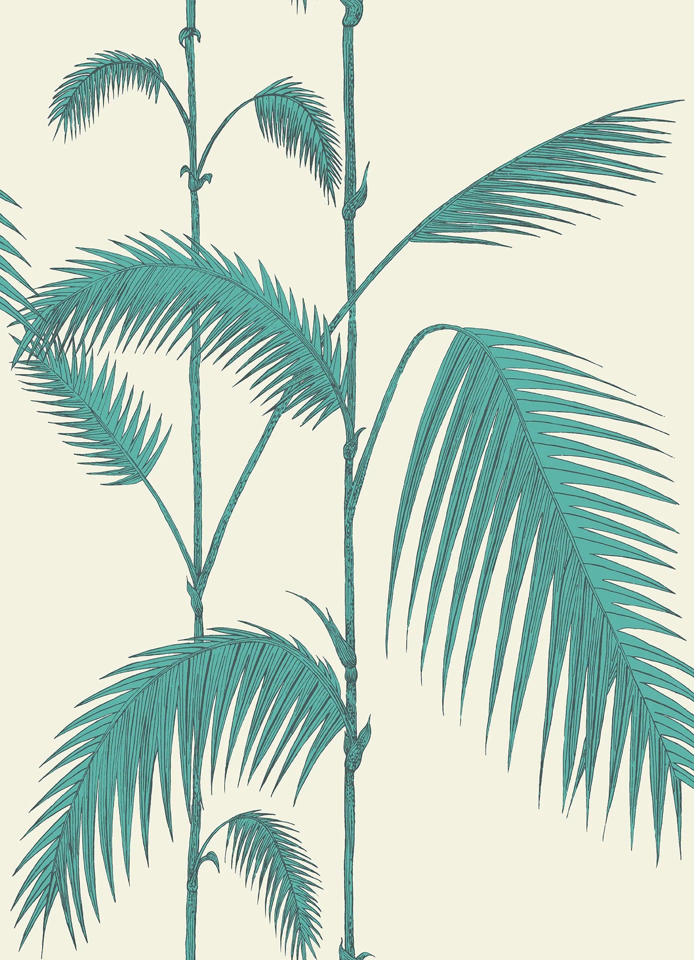 Cole & Son Contemporary Collection, Palm Leaves, Teal on White