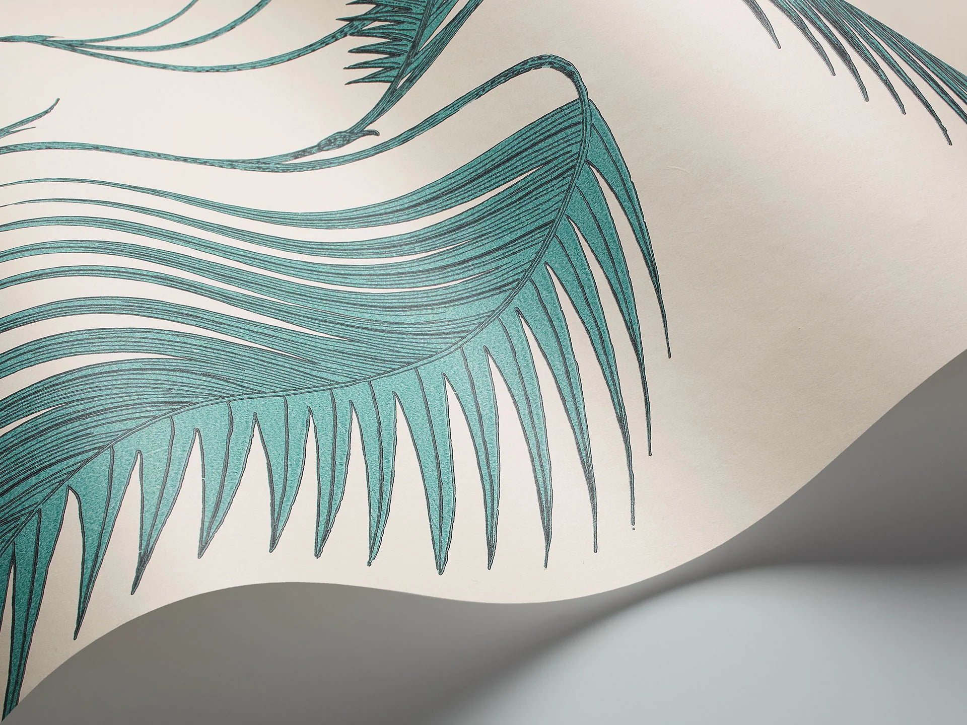 Cole & Son Contemporary Collection, Palm Leaves, Teal on White
