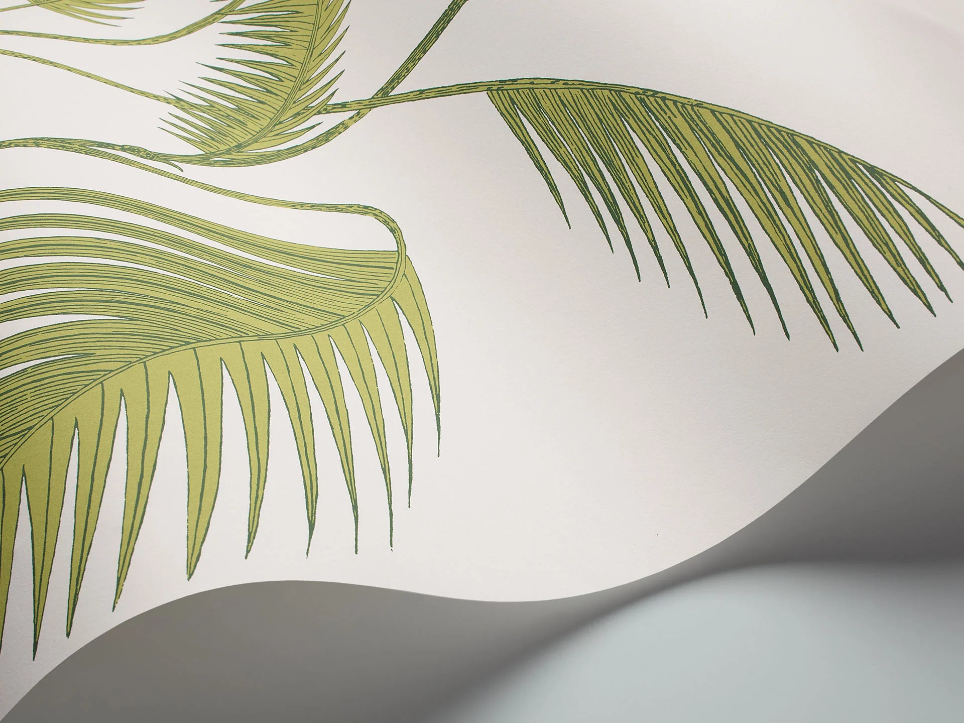 Cole & Son Contemporary Collection, Palm Leaves, Olive Green on White