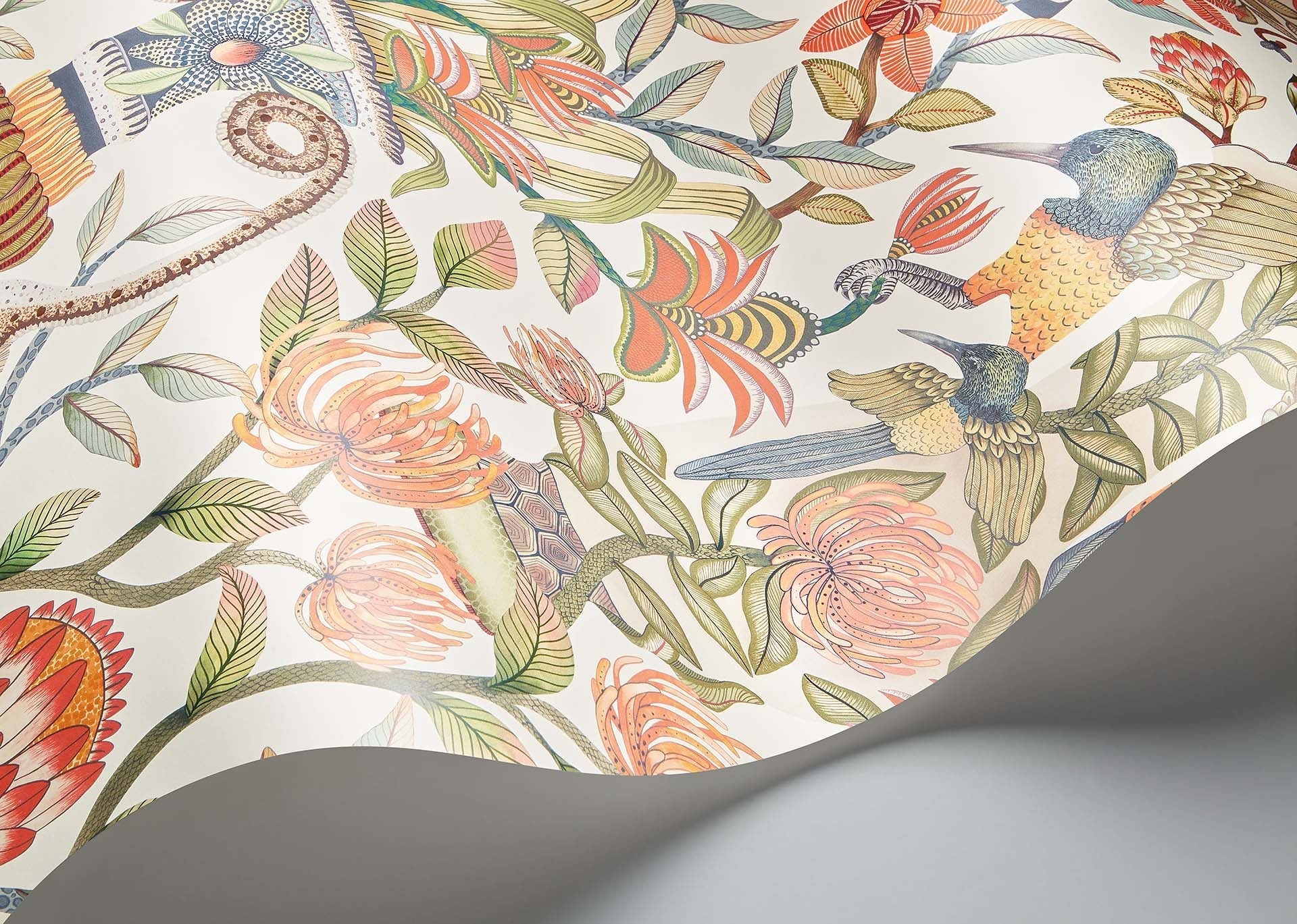 Cole & Son Ardmore Jabula . Protea Garden , Olive Green & Tangerine on White