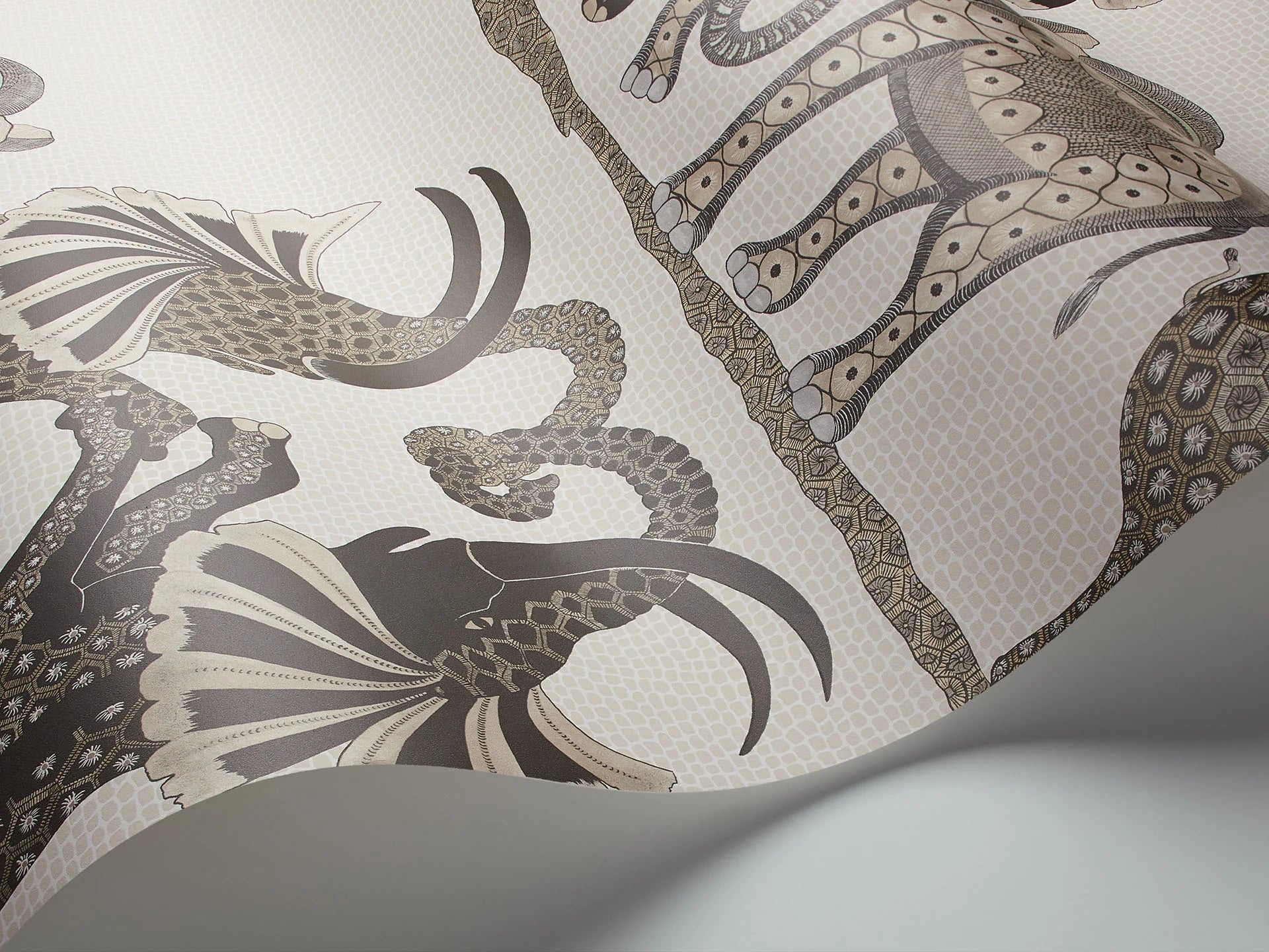 Cole & Son Ardmore Safari dance, Linen & Charcoal on Parchment