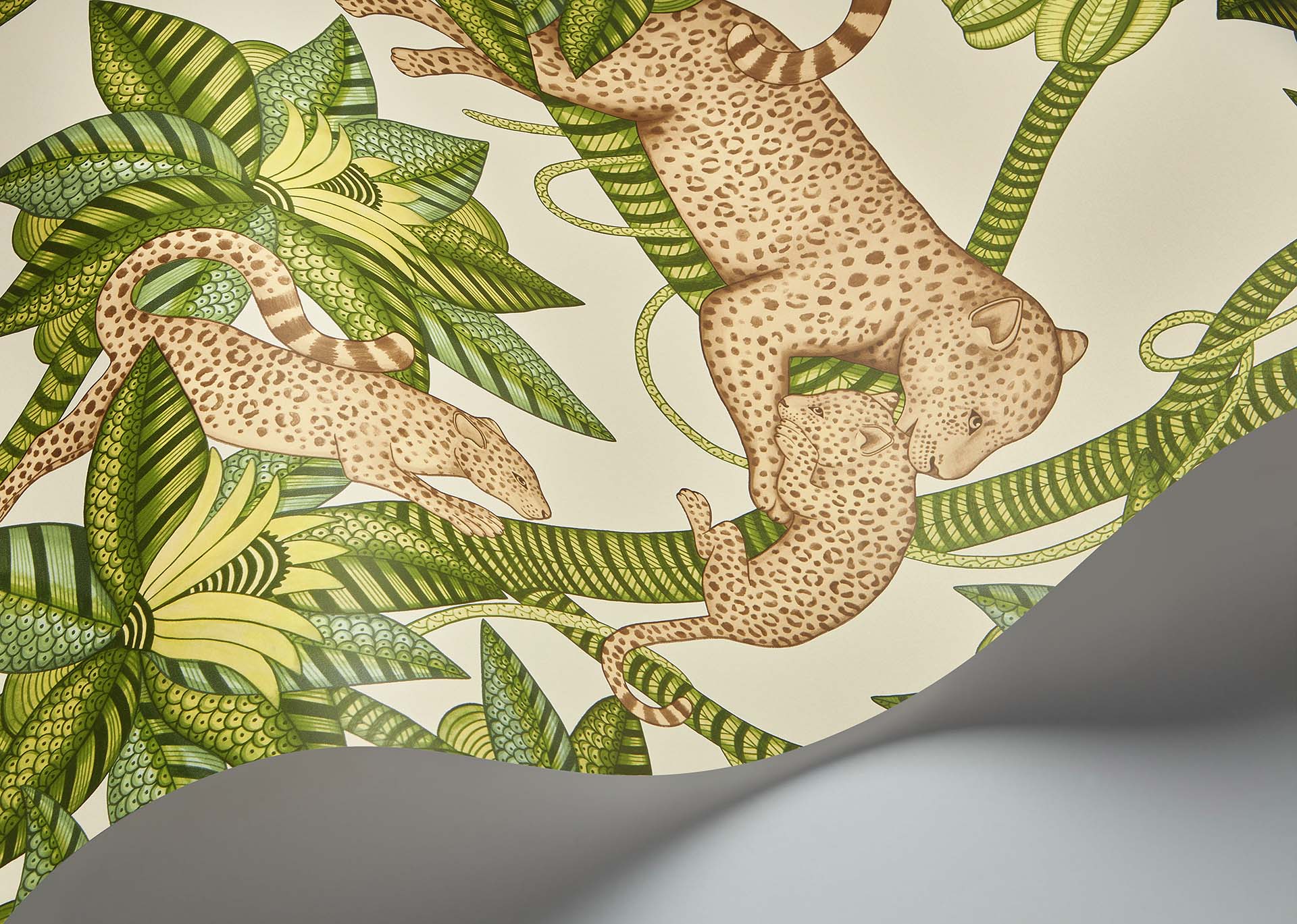 Cole & Son Ardmore Jabula .  Satara,  Spring Green & Sand on Linen