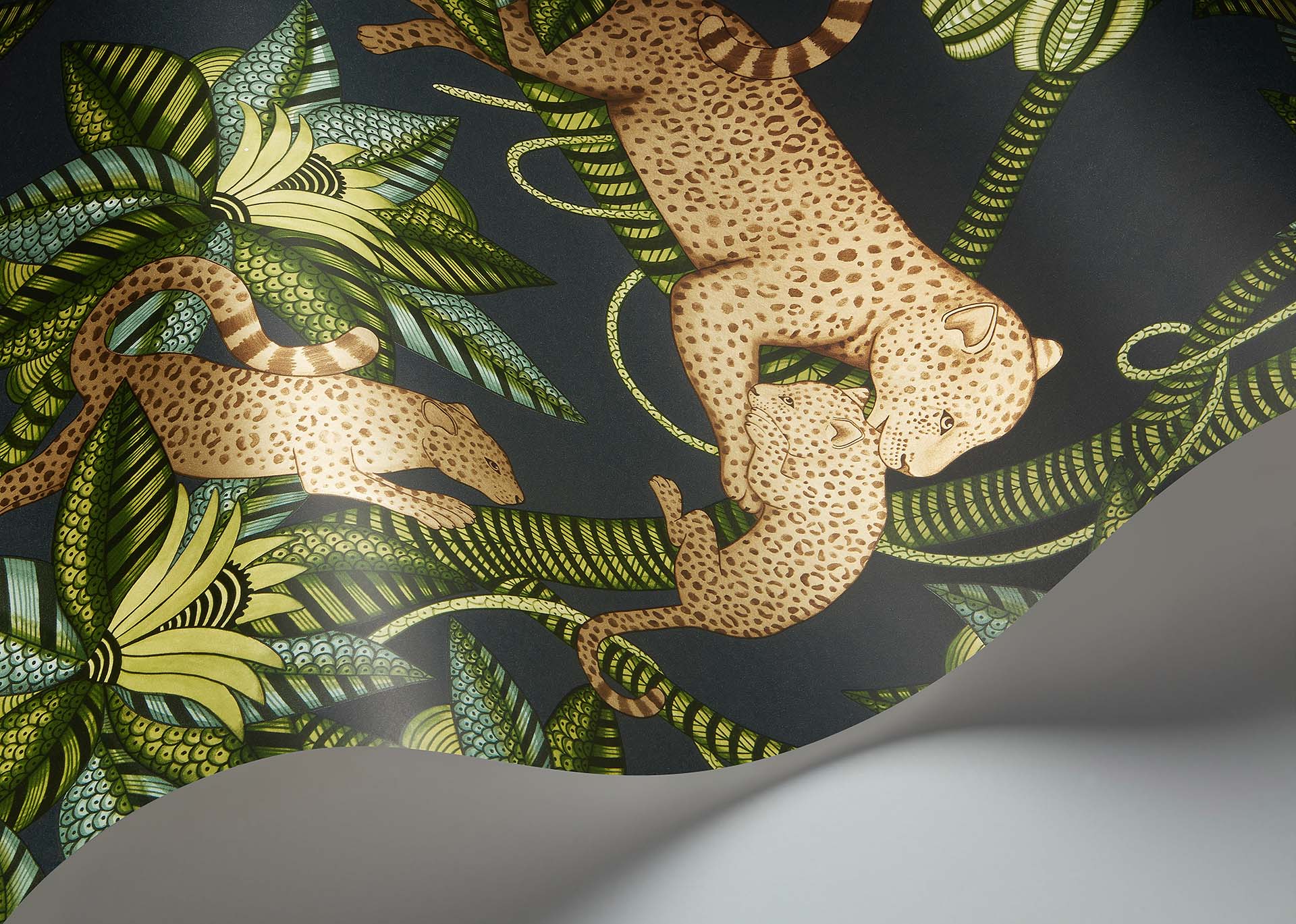 Cole & Son Ardmore Jabula .  Satara,   Spring Green & Metallic Bronze on Charcoal