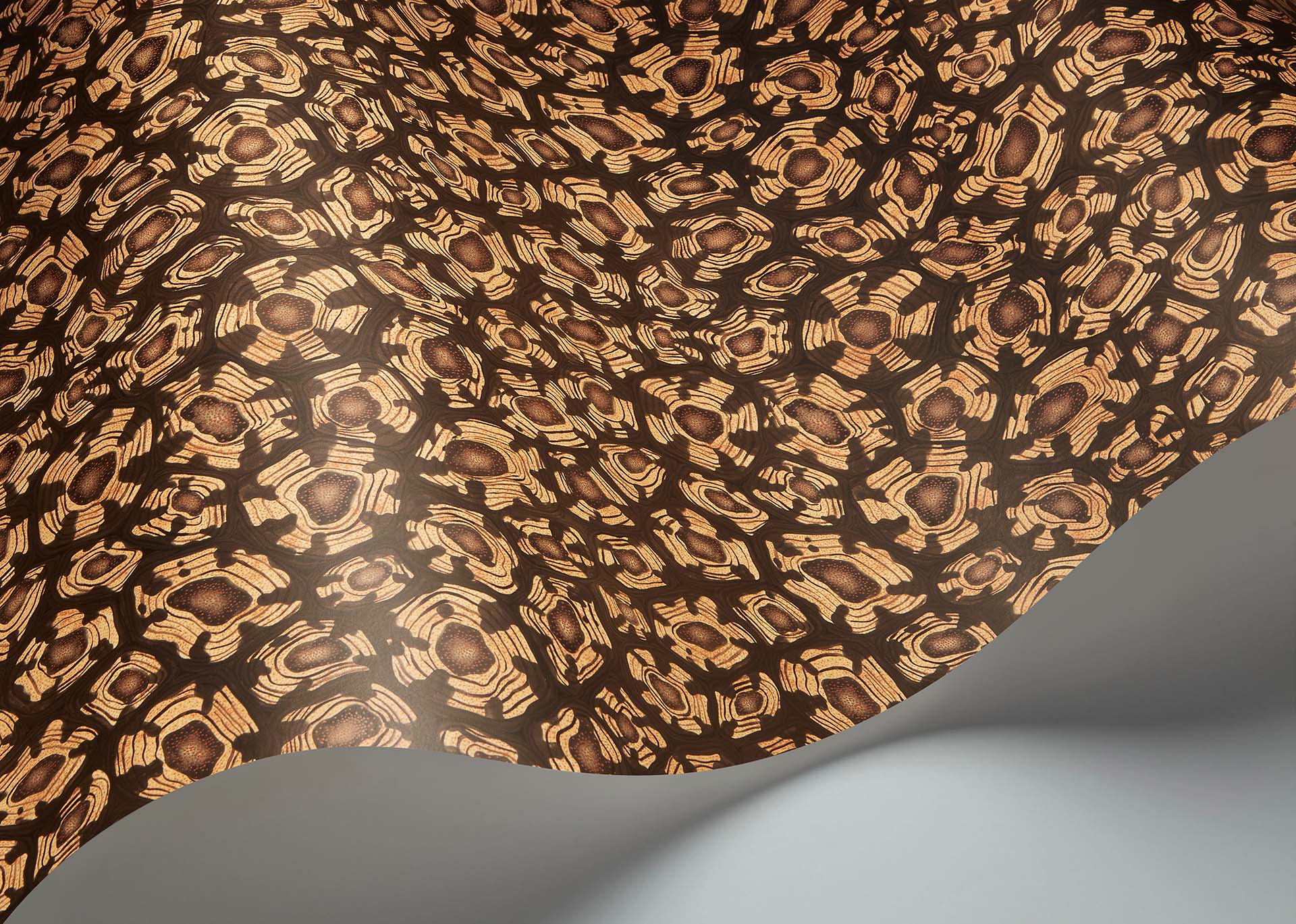 Cole & Son Ardmore Jabula . Savanna Shell,  Ochre, Soot & Orange