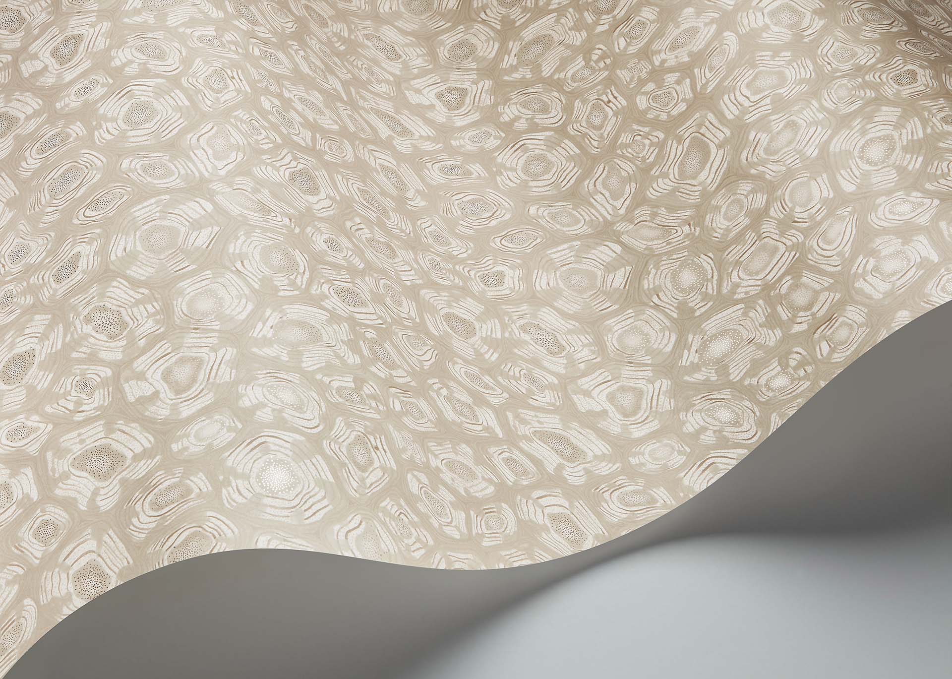 Cole & Son Ardmore Jabula . Savanna Shell,  Parchment, Linen & Metallic Gilver