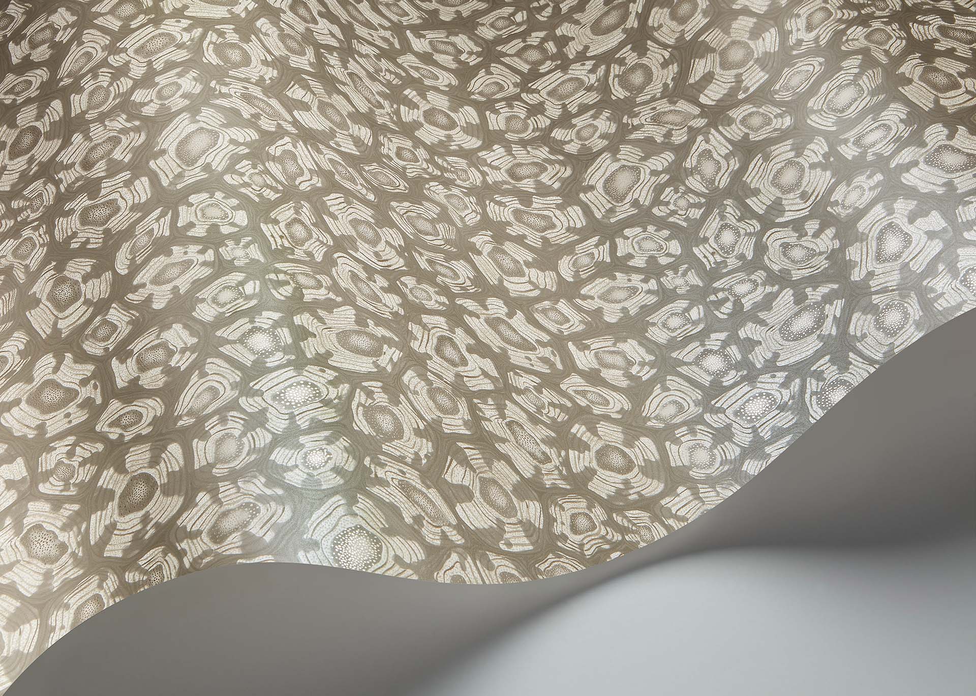 Cole & Son Ardmore Jabula . Savanna Shell,   Shell Mica, Taupe & Metallic Gilver