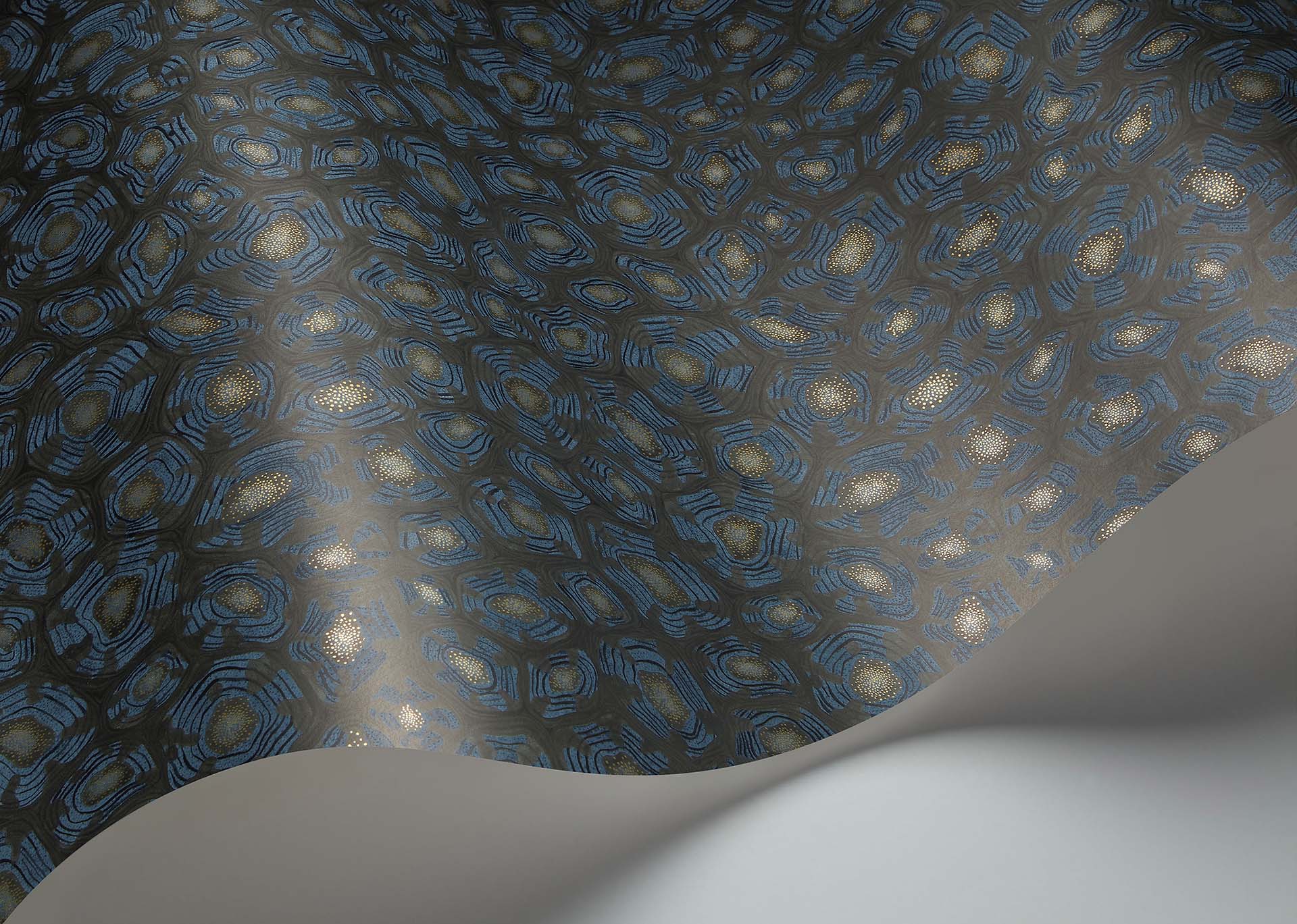 Cole & Son Ardmore Jabula . Savanna Shell,   Denim, Charcoal & Metallic Gold